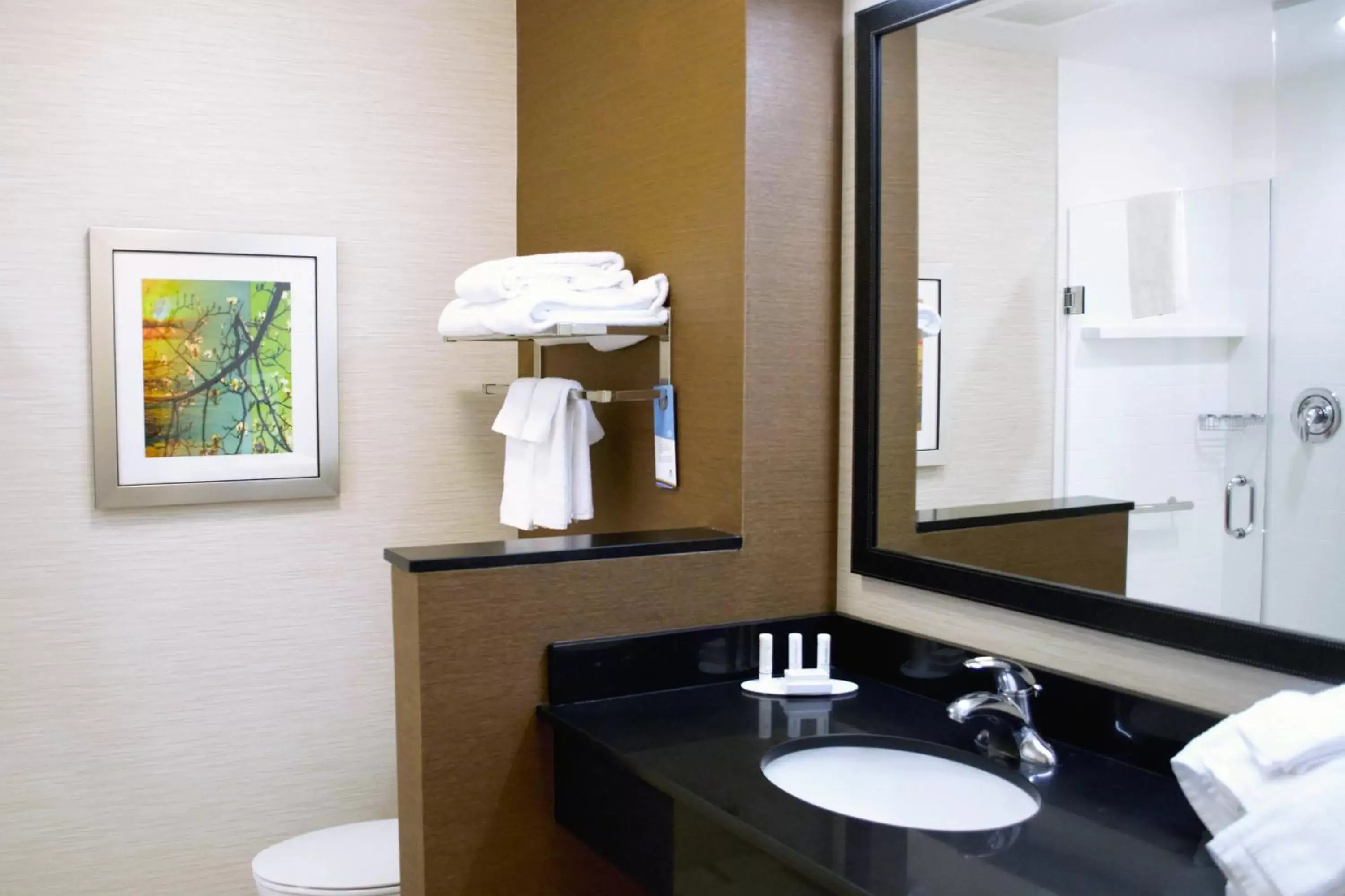 Bathroom in Fairfield Inn & Suites by Marriott Stroudsburg Bartonsville/Poconos