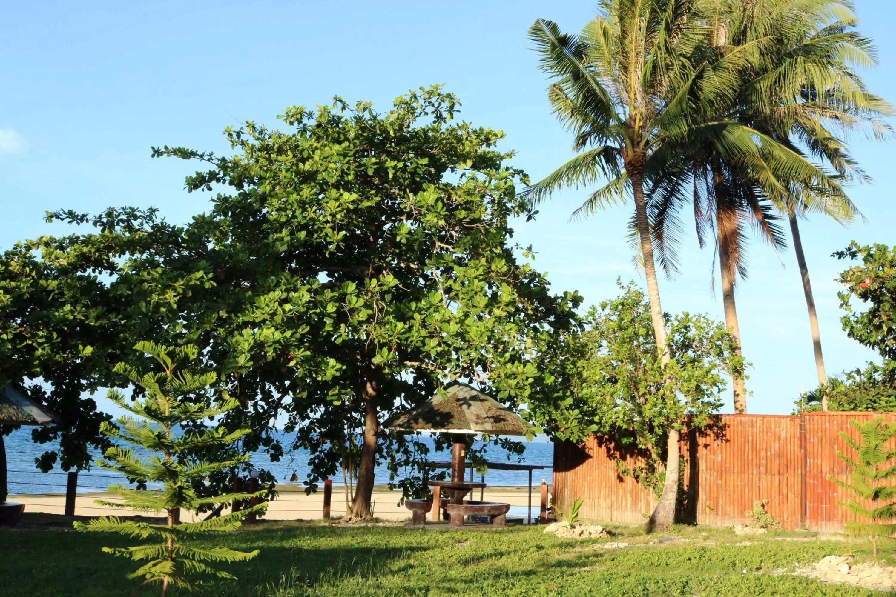 Natural landscape in D's Oceanview Beach Resort