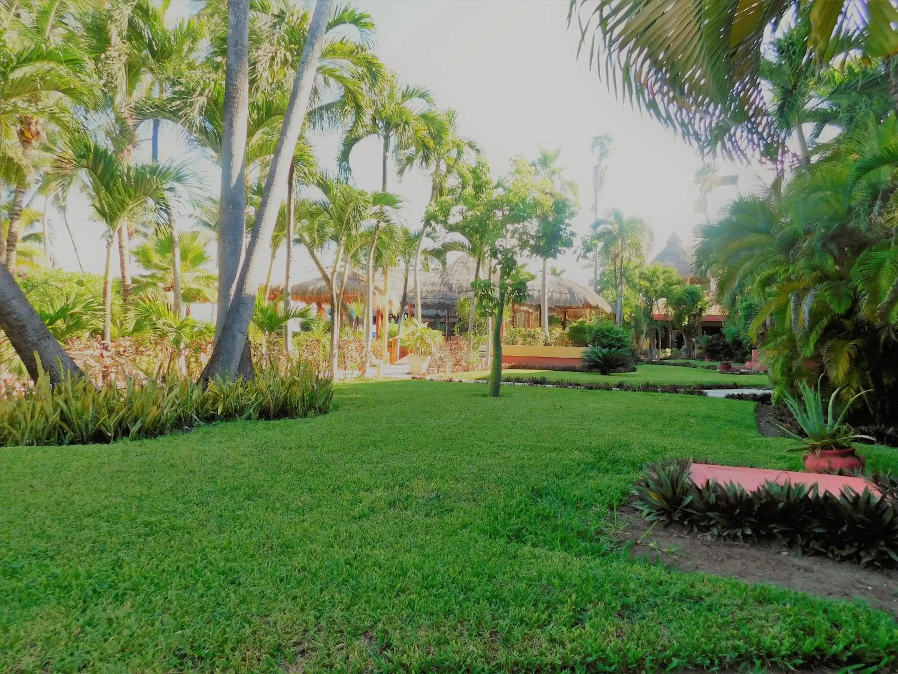 Garden in Nautibeach Beach Front Condos in North Beach