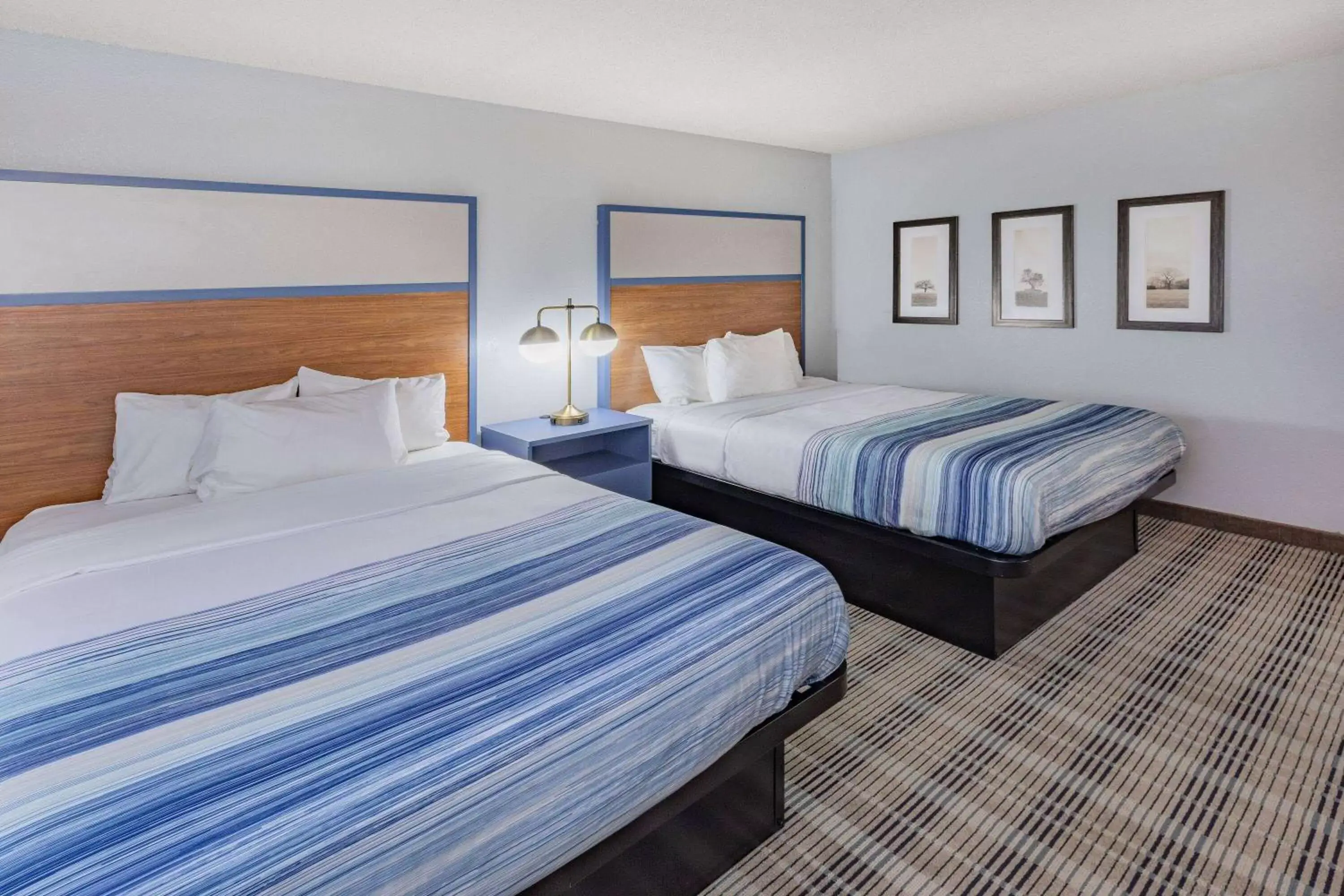 Photo of the whole room, Bed in AmericInn by Wyndham Sayre Photo of the whole room, Bed in AmericInn by Wyndham Sayre