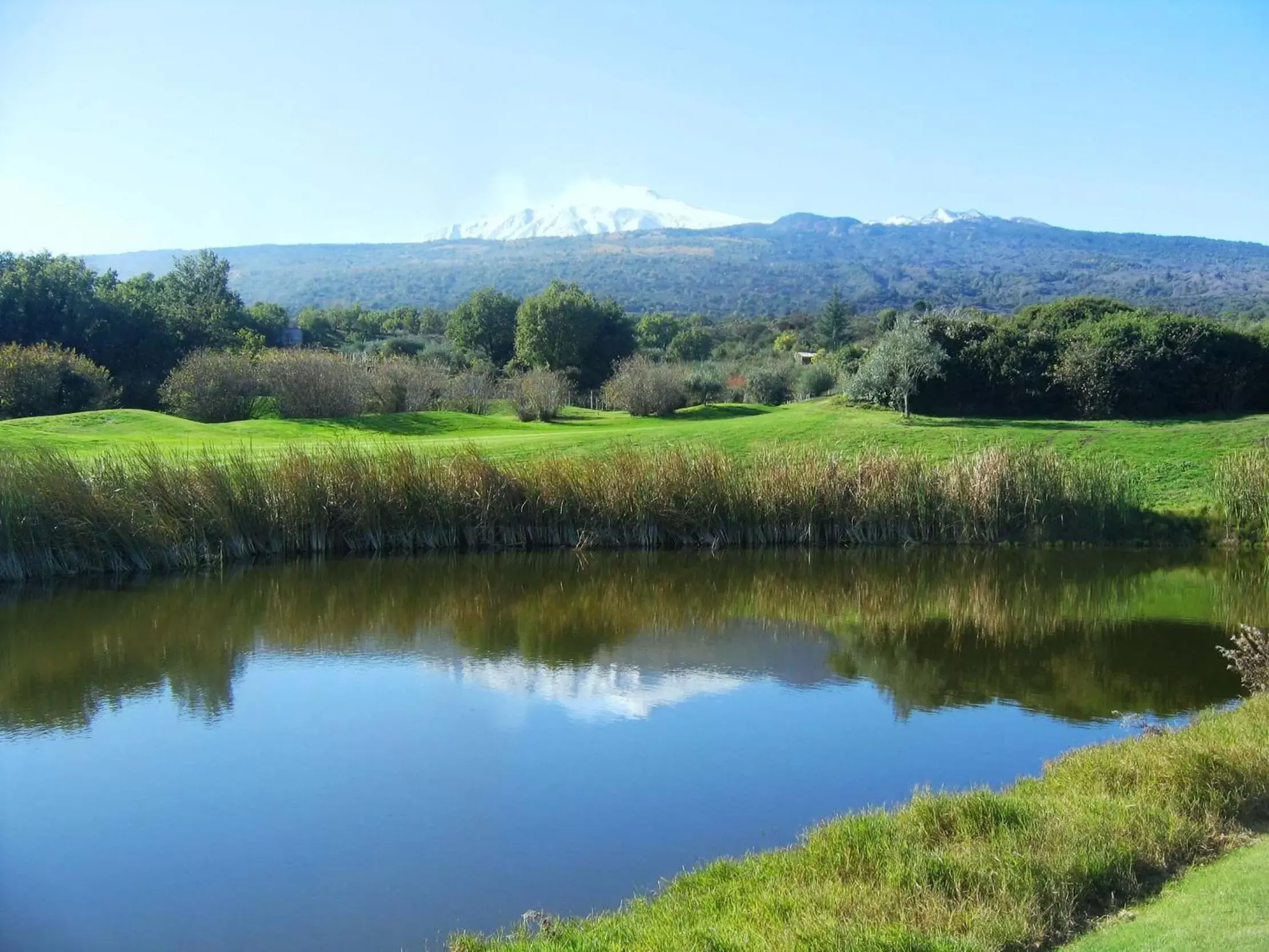 Golfcourse in Il Picciolo Etna Golf Resort & Spa