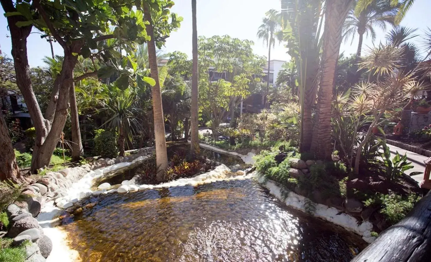 Garden in Hotel Parque Tropical