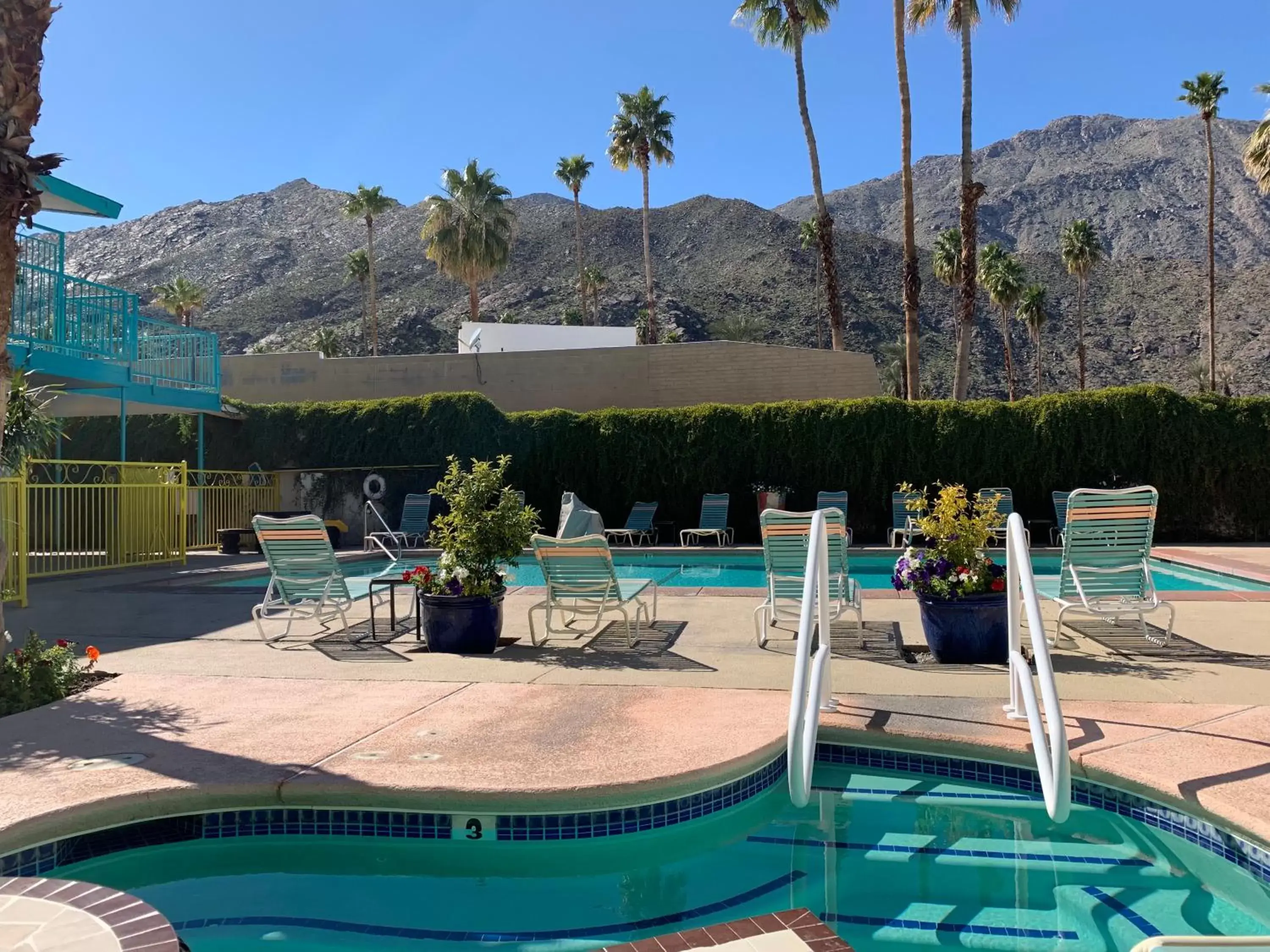 Swimming Pool in Adara Palm Springs