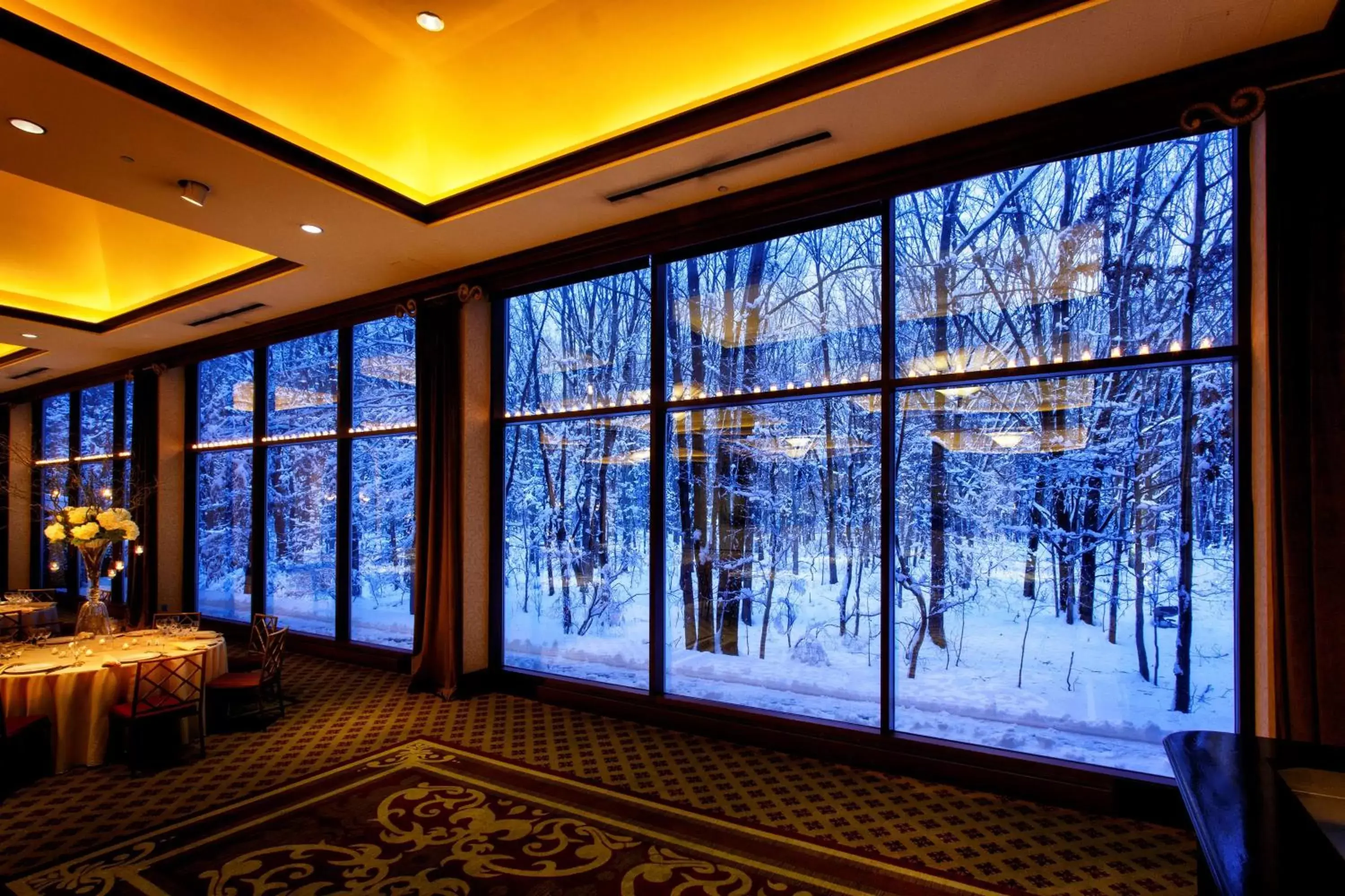 Meeting/conference room, Winter in Hilton Garden Inn New York/Staten Island