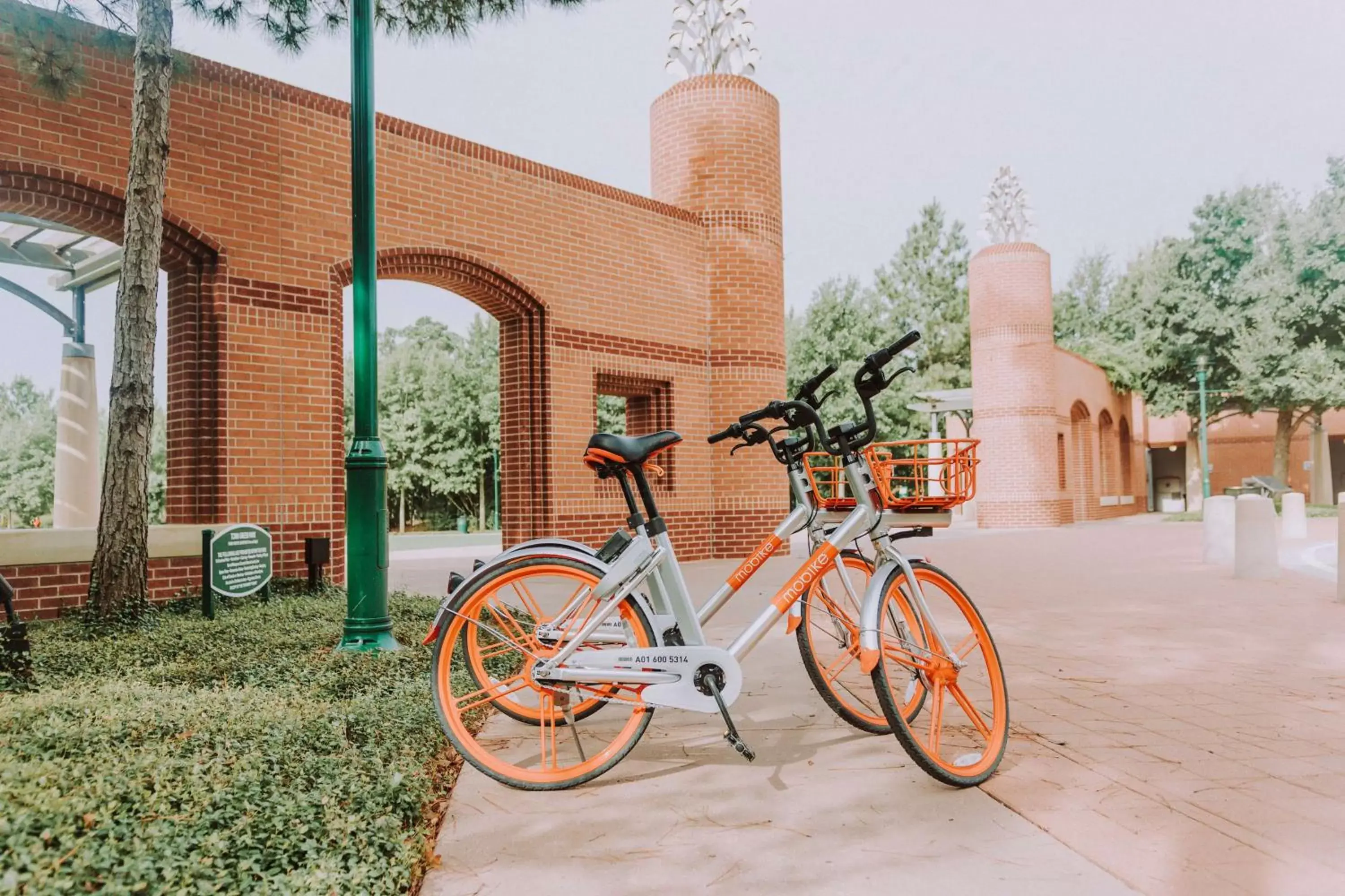 Off site, Biking in Hyatt Centric The Woodlands