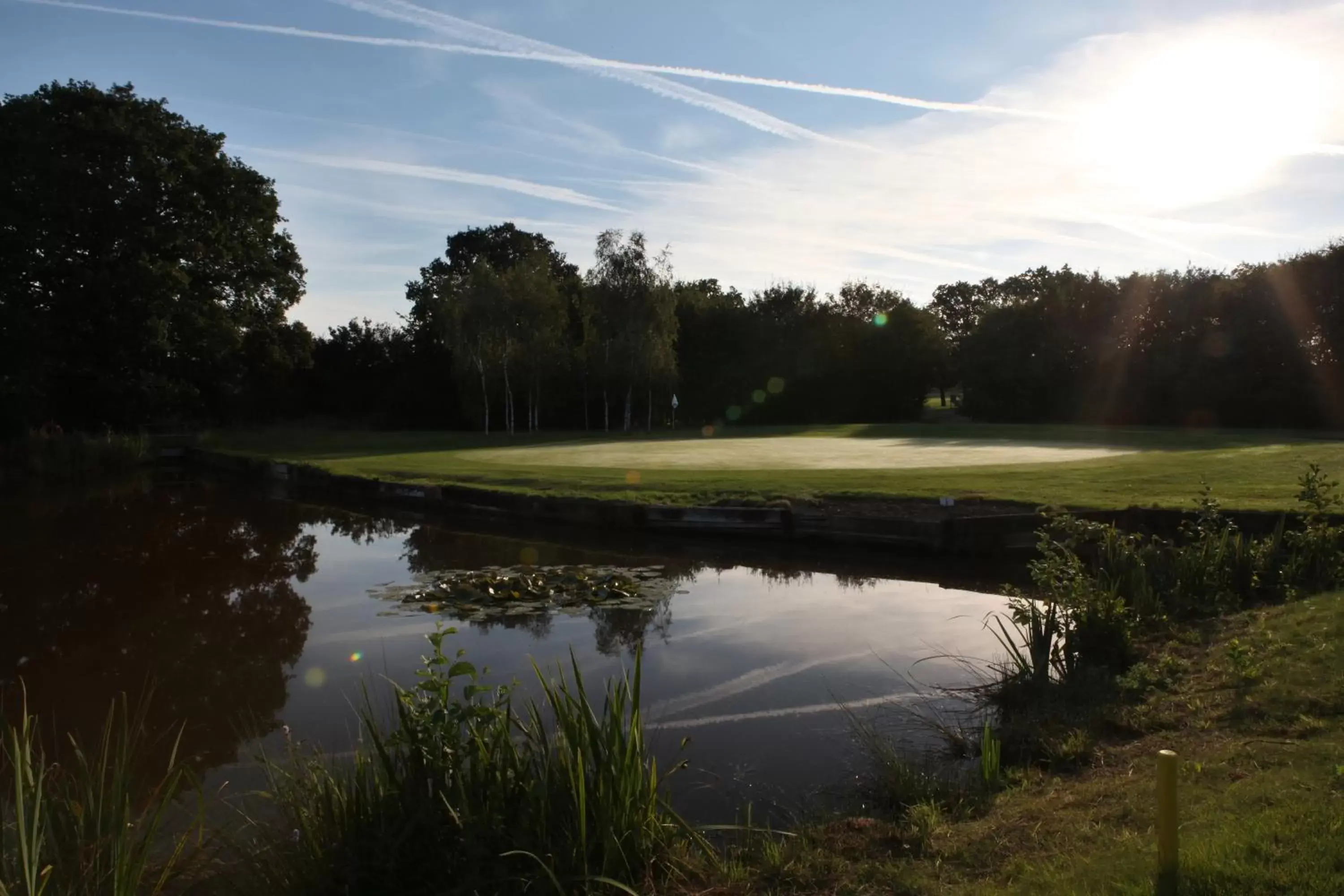 Natural landscape in Weald of Kent Golf Course and Hotel