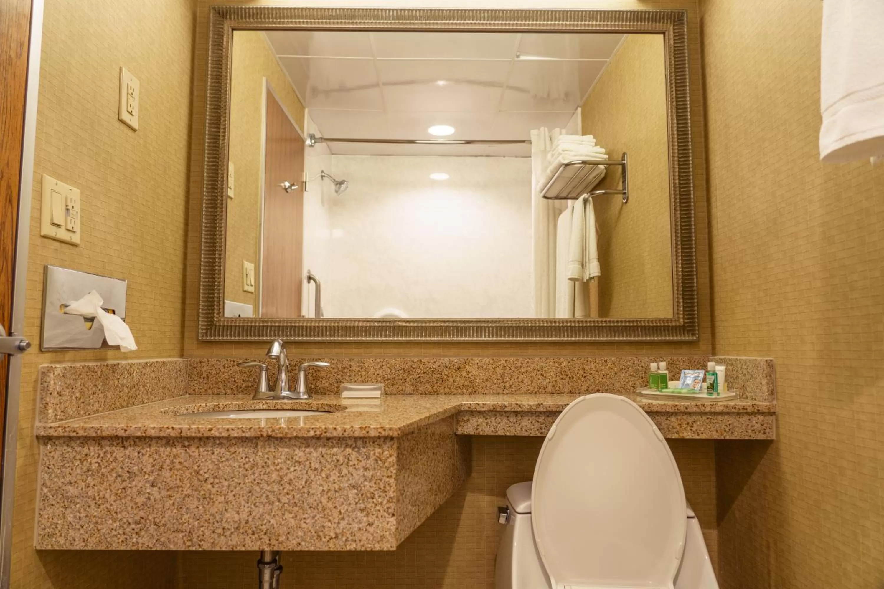 Premium Queen Room with Two Queen Beds - Hearing Accessible in Holiday Inn New Orleans-Downtown Superdome by IHG