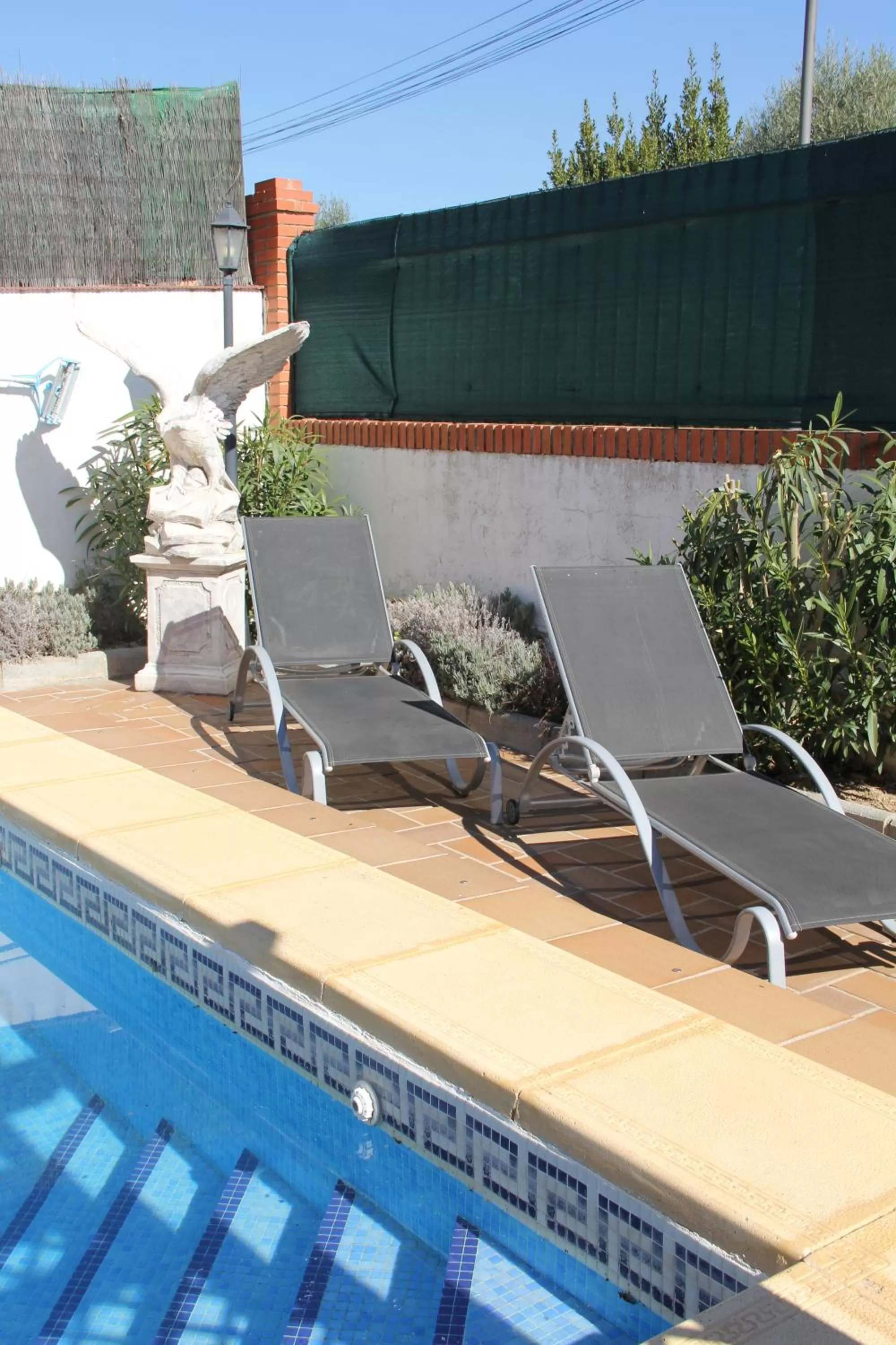 Swimming pool in B&b Casa Flamenca