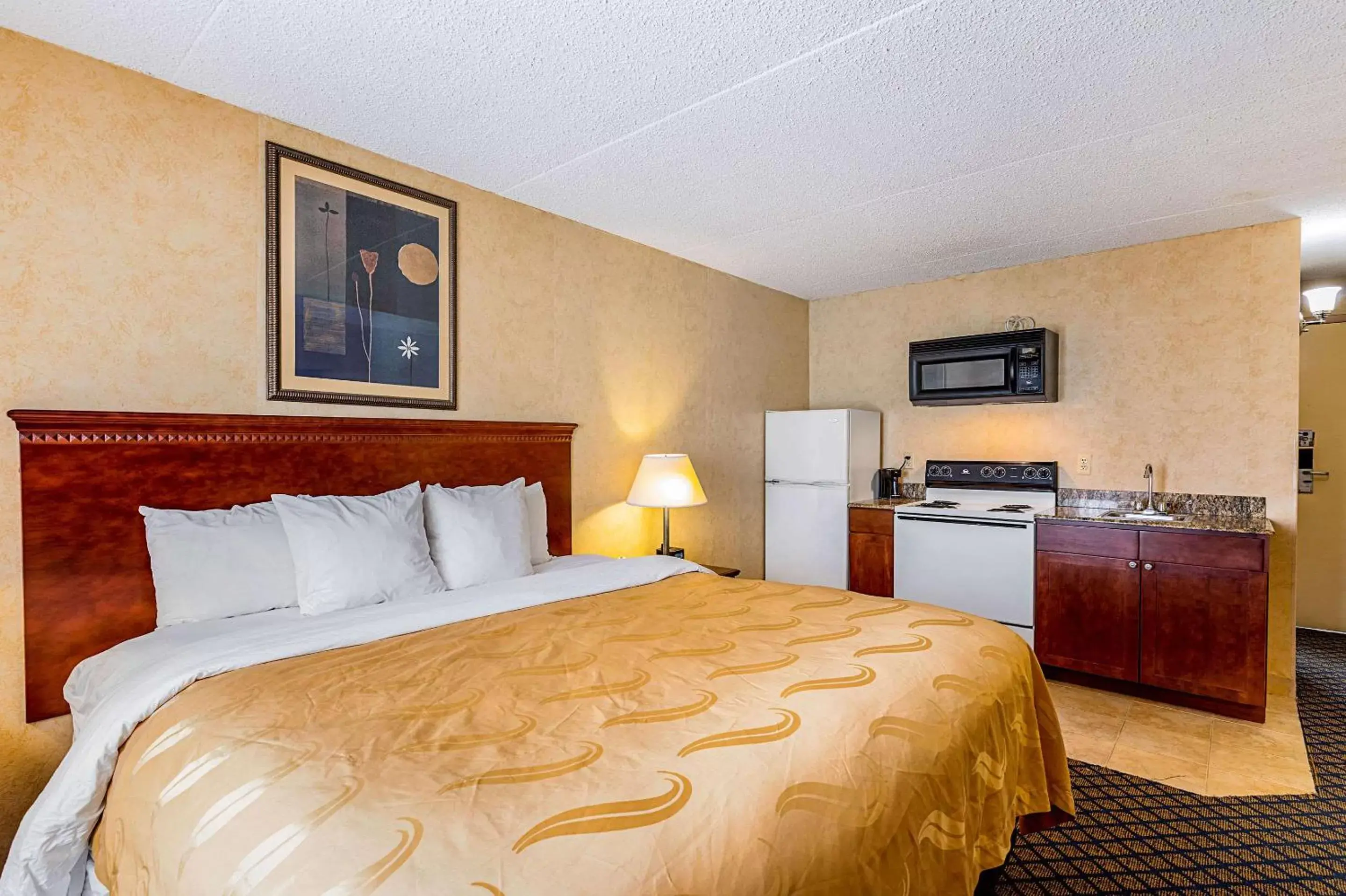 Photo of the whole room, Bed in Quality Inn & Suites Coldwater near I-69