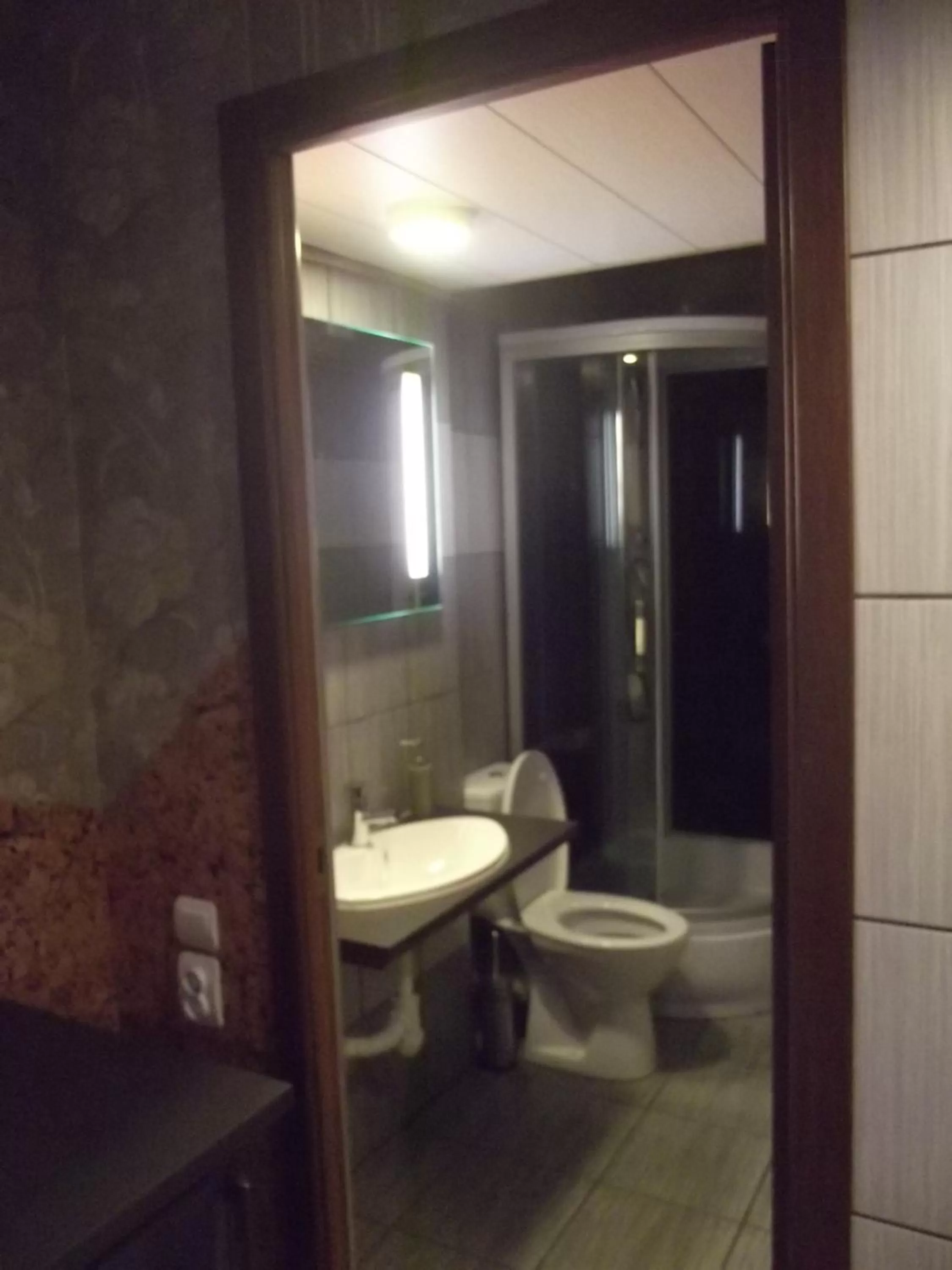 Bathroom in Nakvynė Rokiškyje