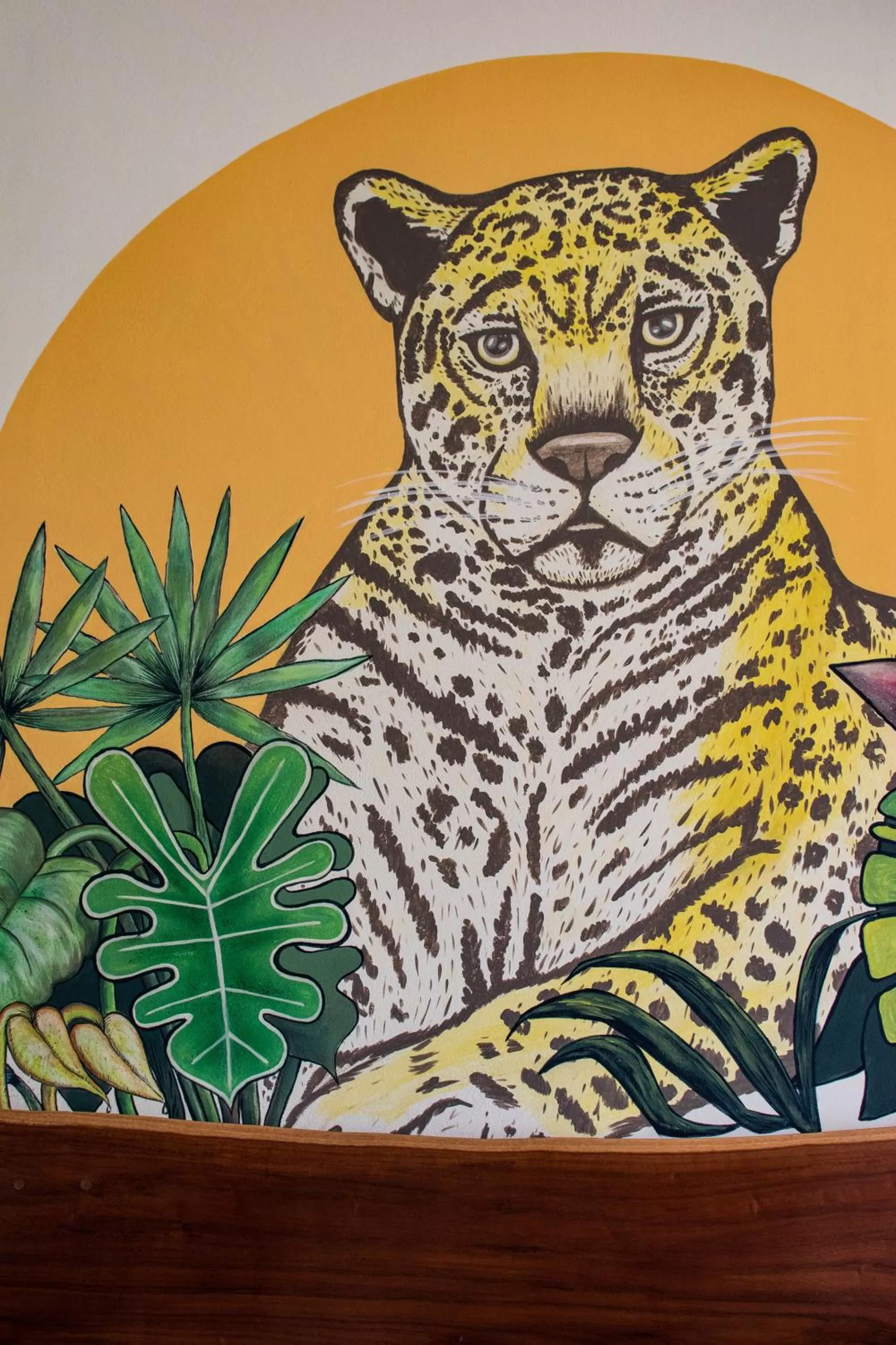 Decorative detail in La Palmita Budget Boutique Hotel