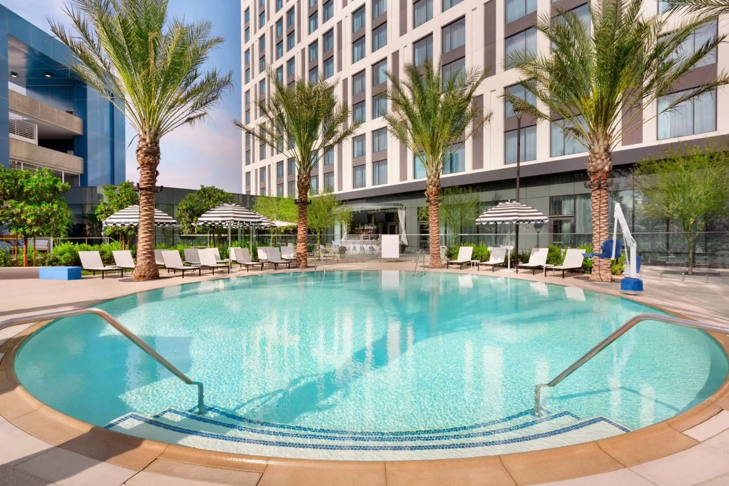 Swimming Pool in The Viv Hotel, Anaheim, a Tribute Portfolio Hotel