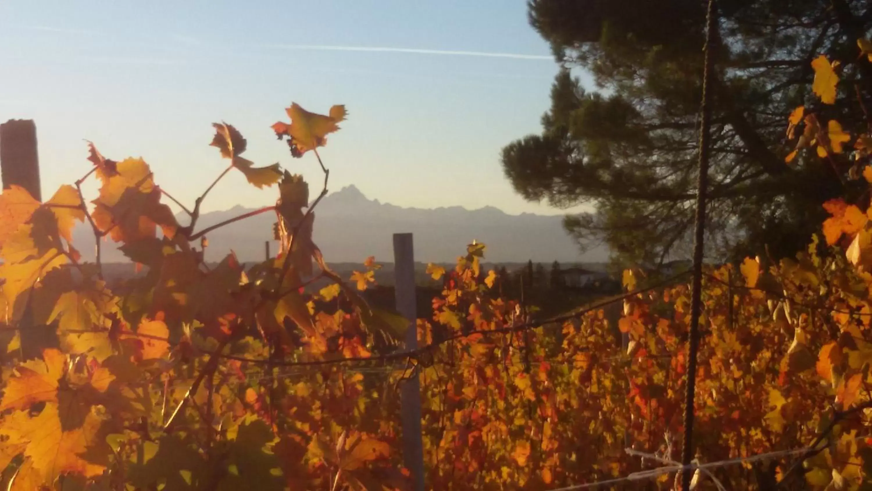 Autumn in Cascina Torello