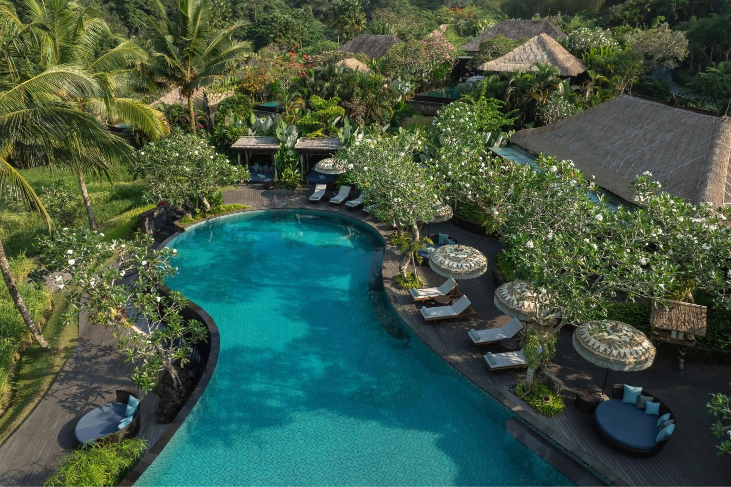 Swimming pool in Mandapa, a Ritz-Carlton Reserve