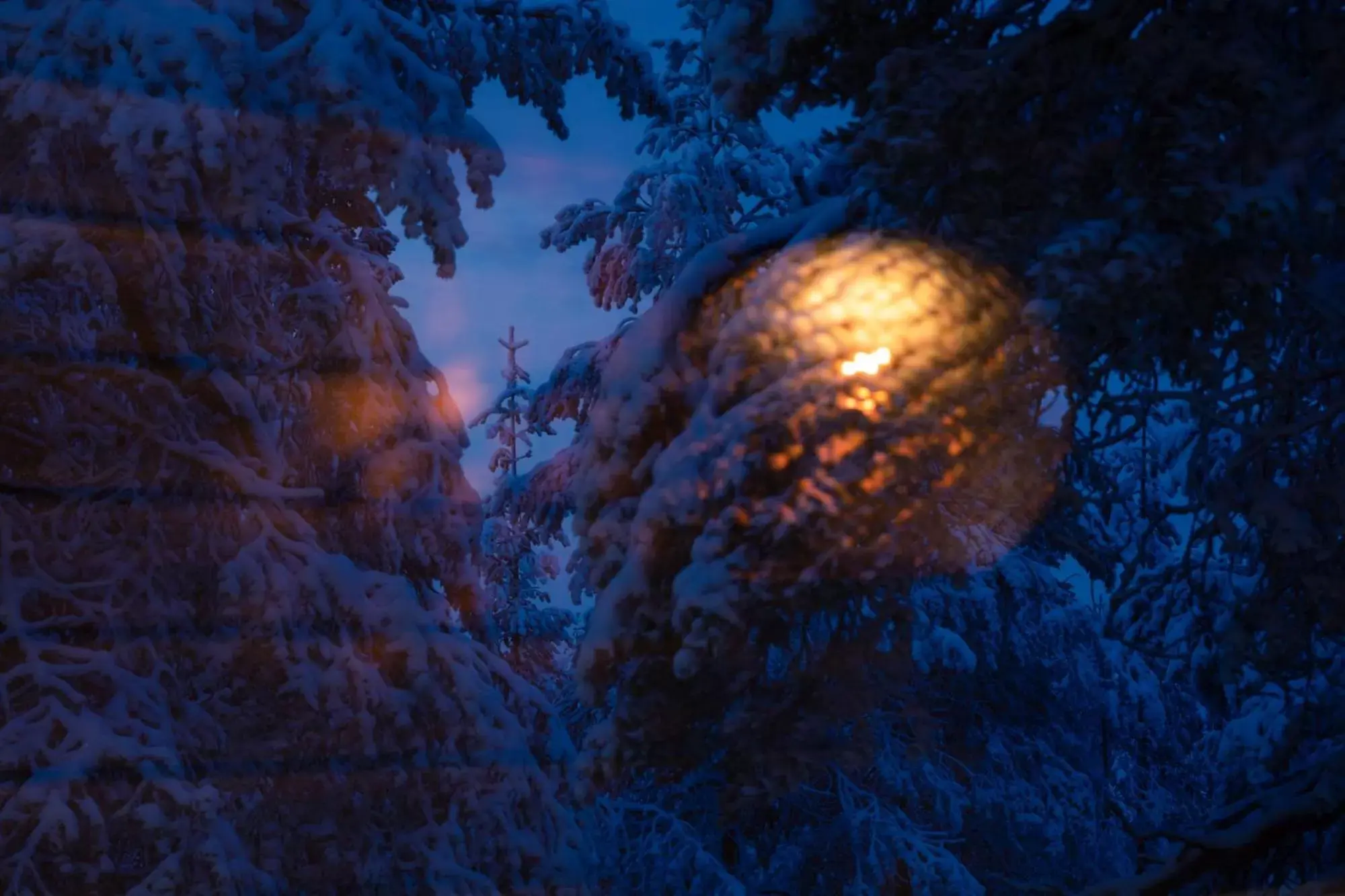 Natural landscape, Winter in Lapland Hotels Sky Ounasvaara