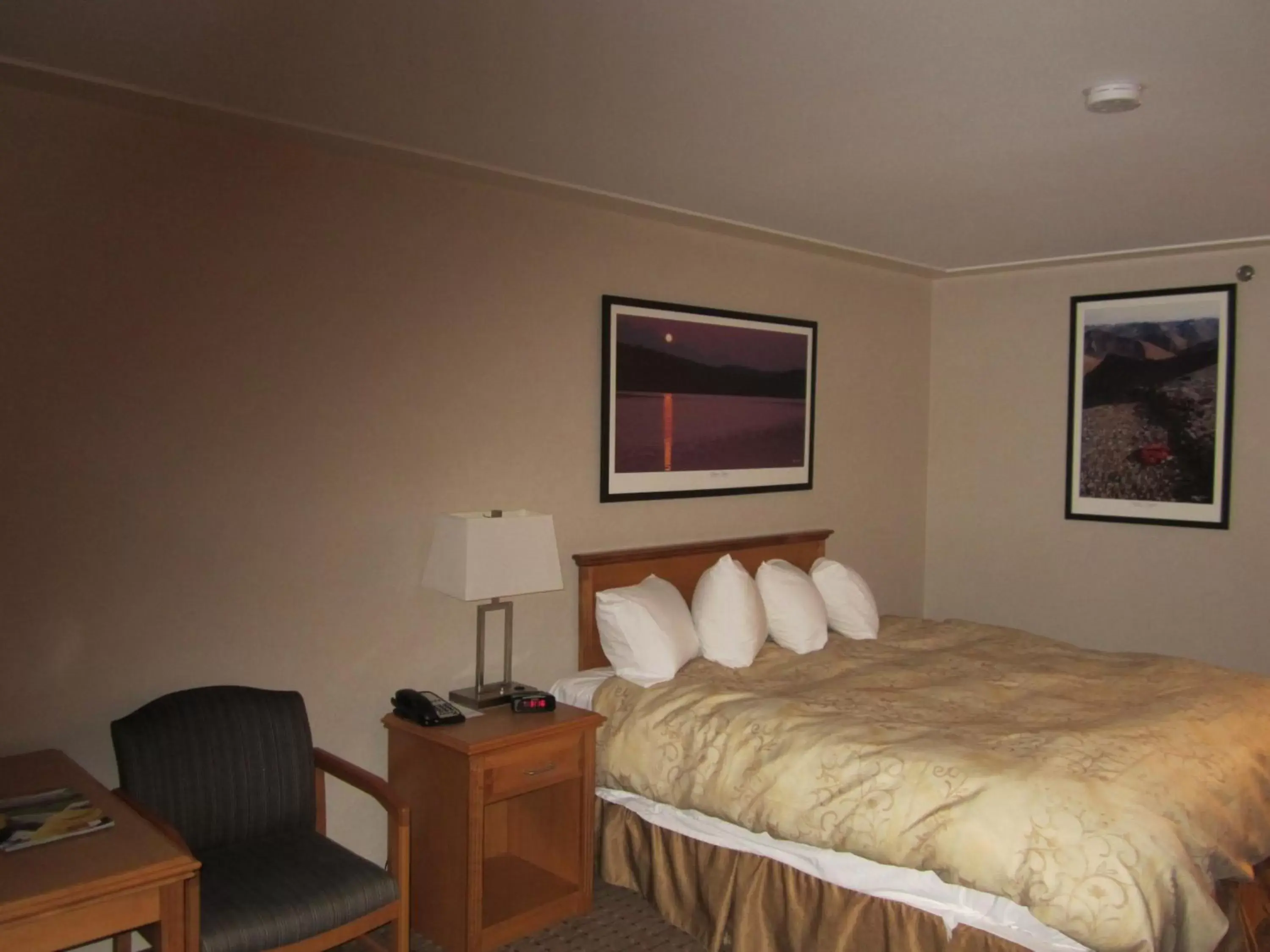 Bed in Woodlands Inn & Suites