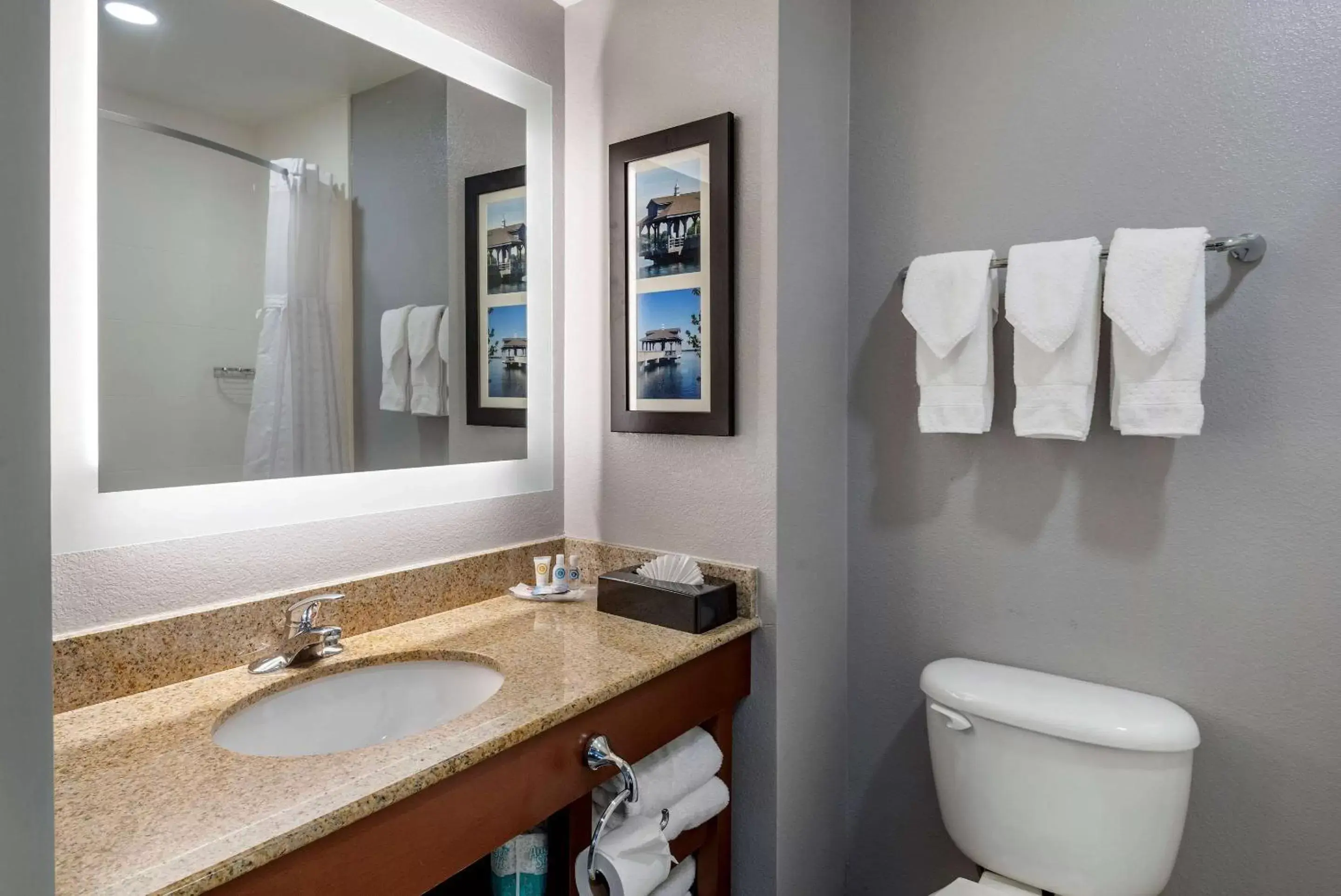 Bathroom in Comfort Suites near Birkdale Village - Huntersville