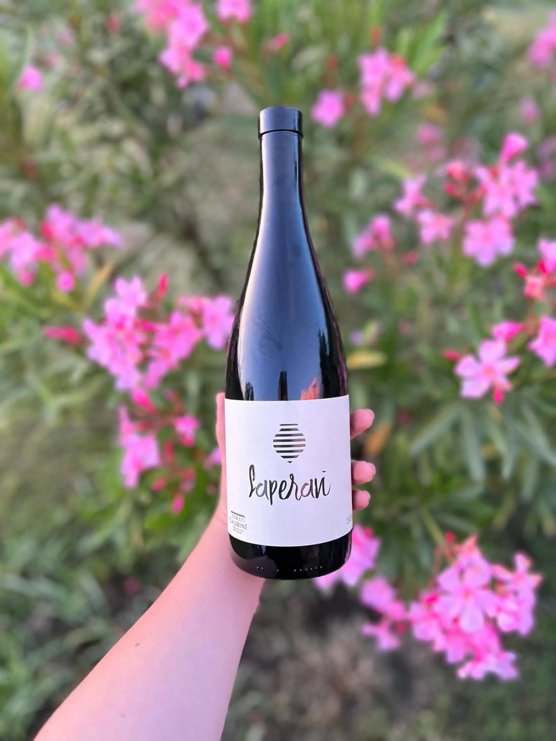 Garden in Chubini Winery & Cabins