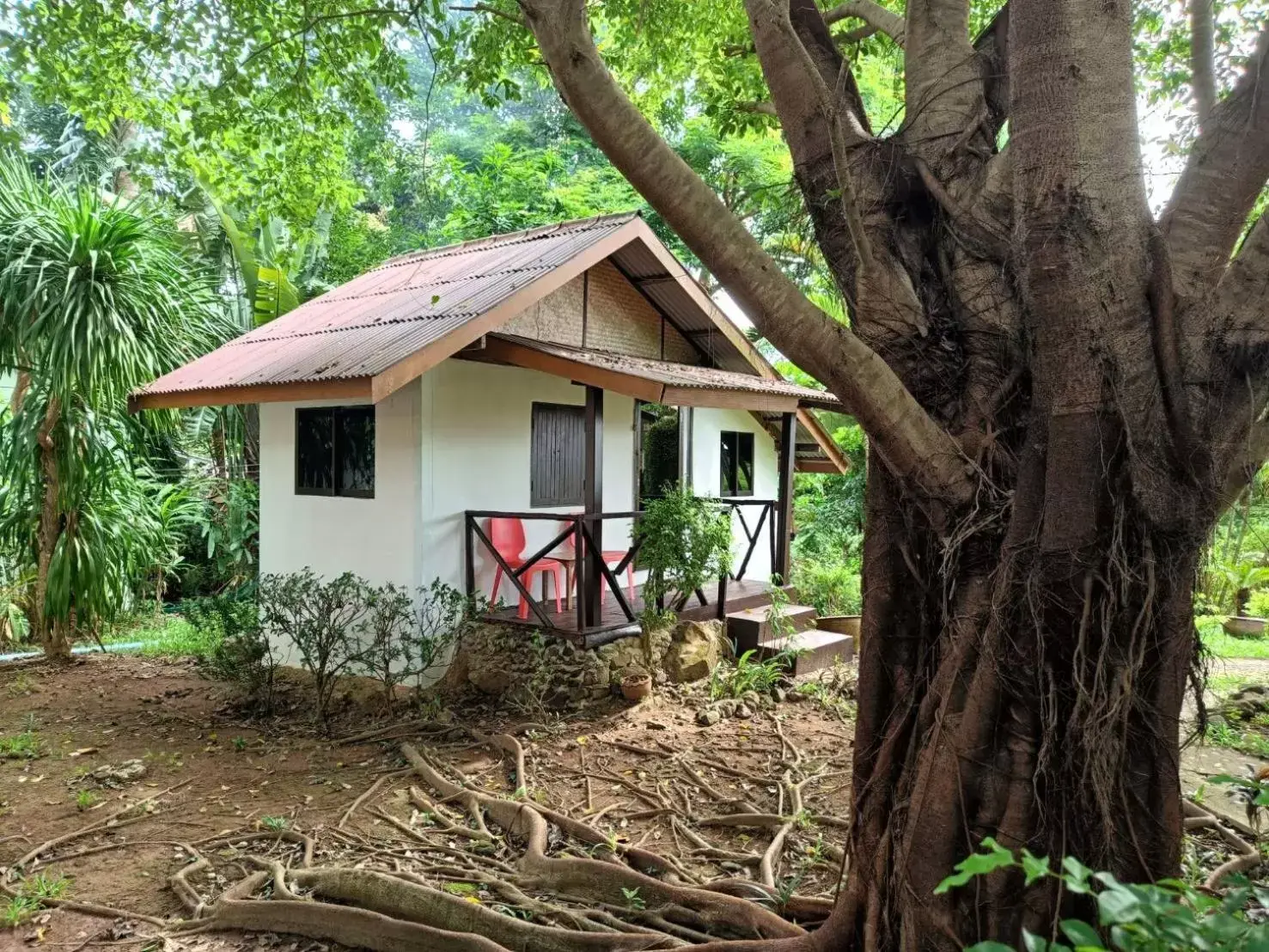 Property Building in Faye Orchid Garden Resort