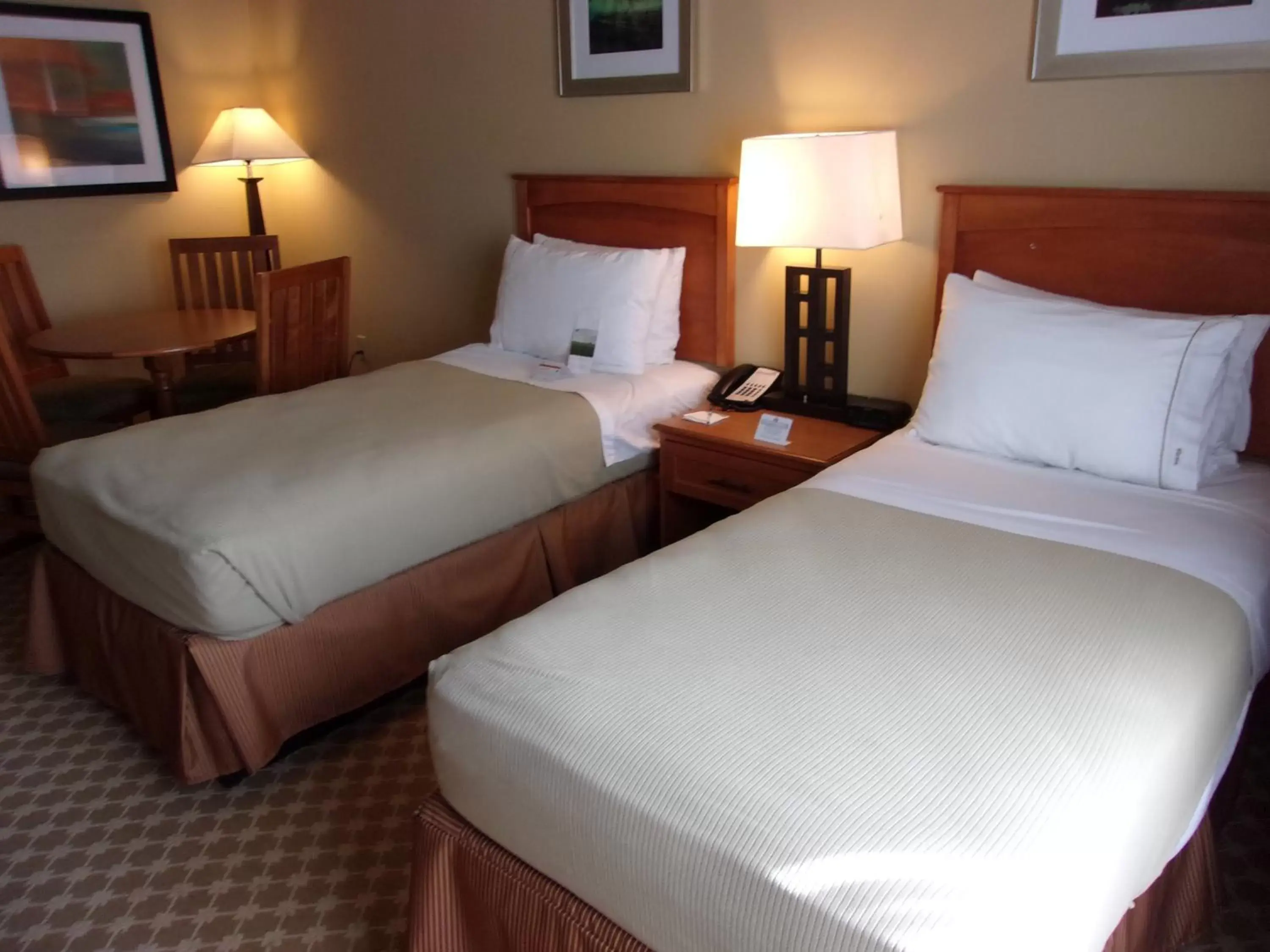 Photo of the whole room, Bed in Holiday Inn Express Hotel & Suites Chicago West Roselle, an IHG Hotel