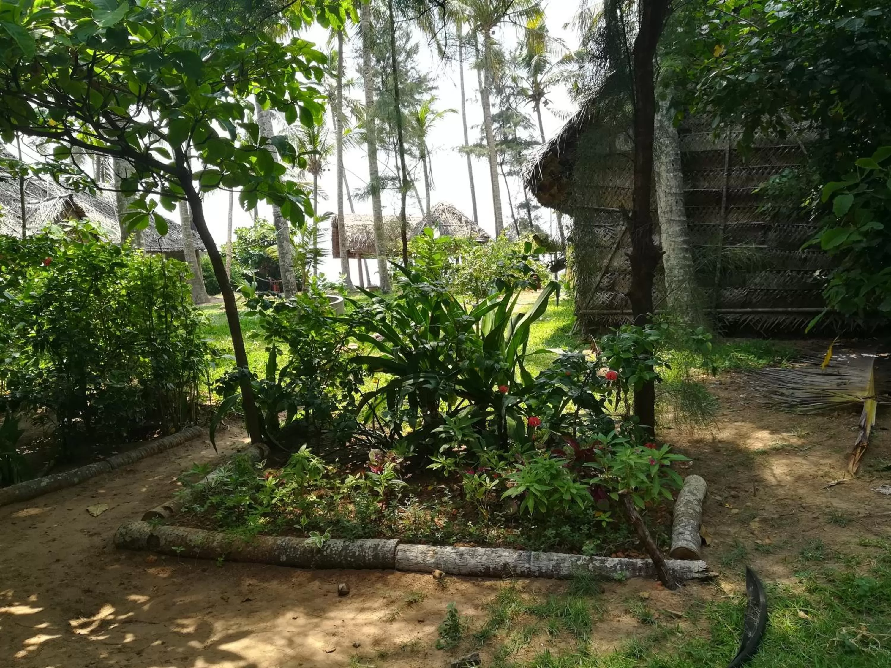 Garden view in Sukriti beach Resort