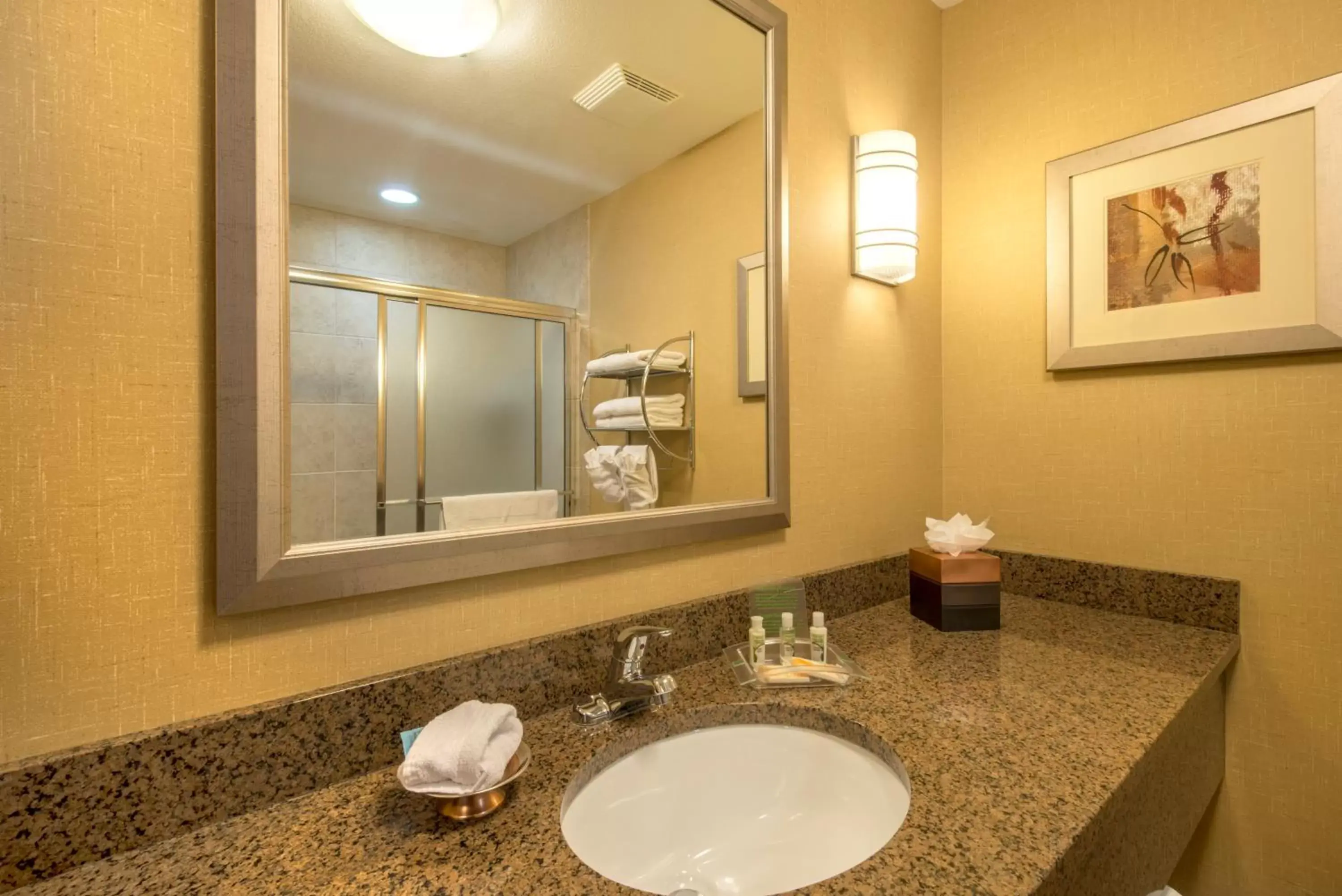 Bathroom in Holiday Inn Casper East-Medical Center, an IHG Hotel