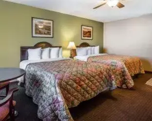 Bed in Quality Inn & Suites Cameron Park Shingle Springs