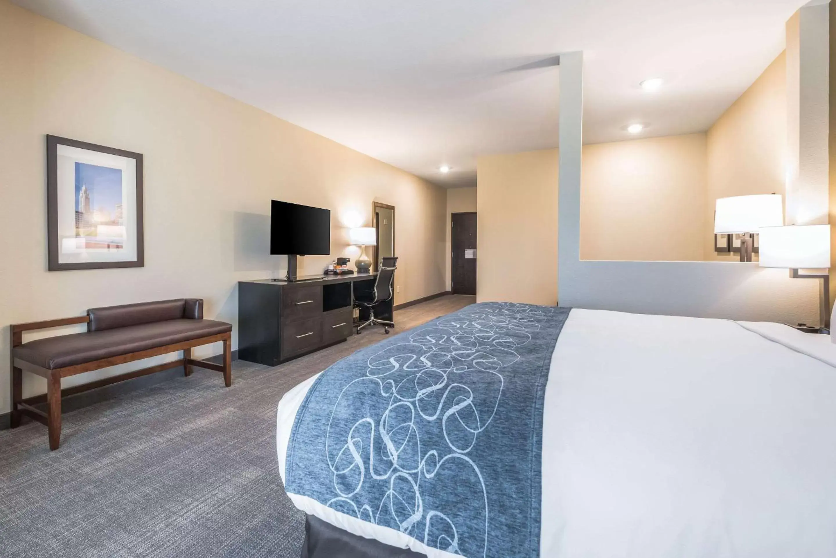 Photo of the whole room in Comfort Suites Marysville Columbus - Northwest