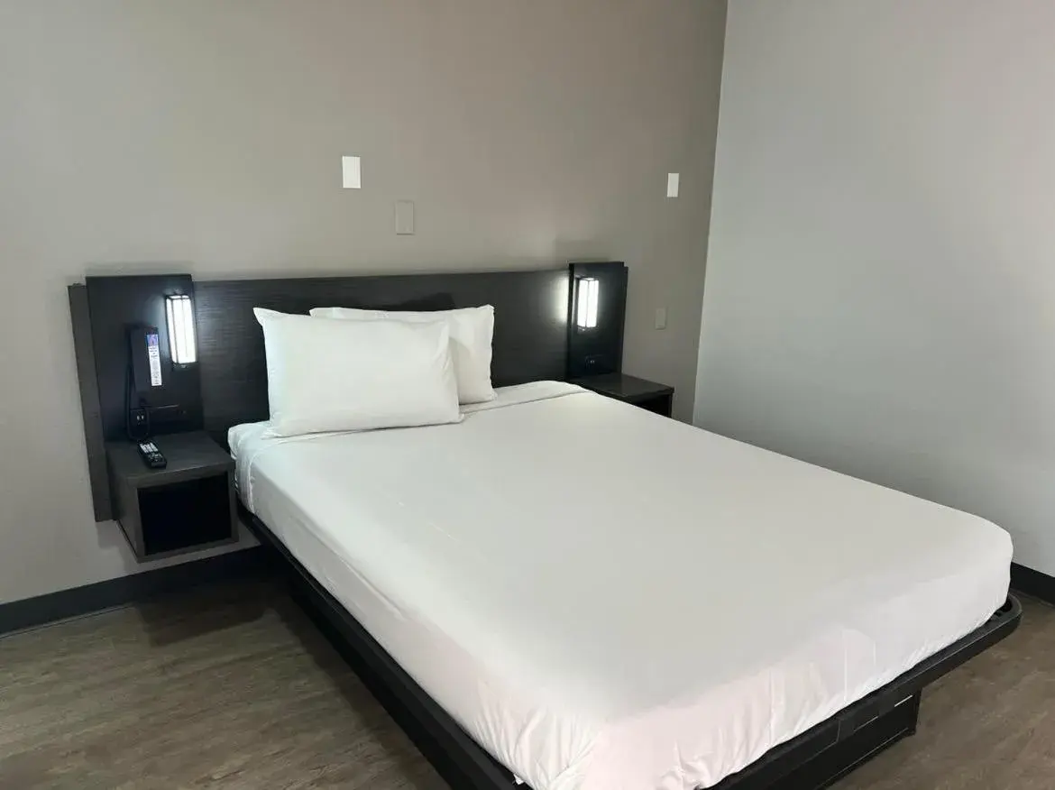 Bed in Motel 6-Lakeland, FL
