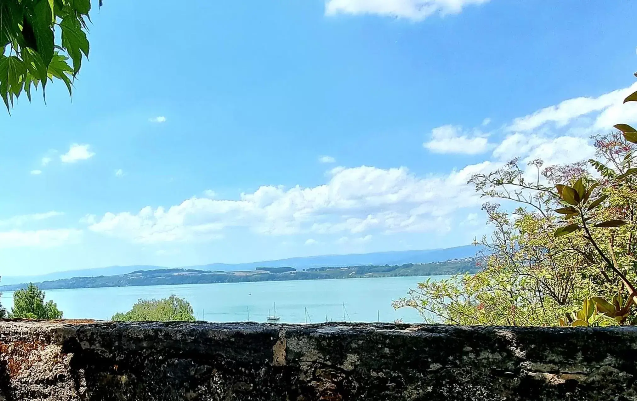 Lake view, Sea View in Hotel Murtenhof & Krone