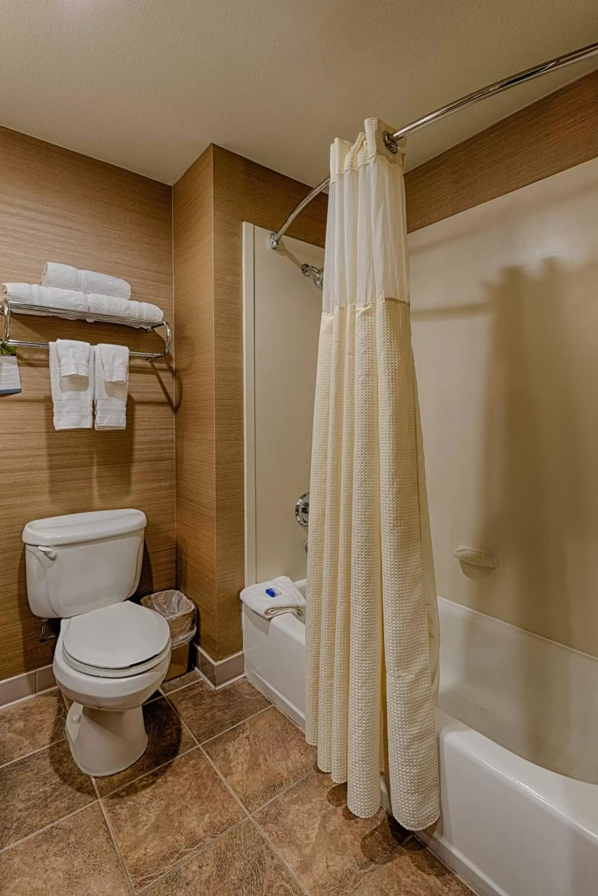 Bathroom in Best Western Plus Delta Inn & Suites