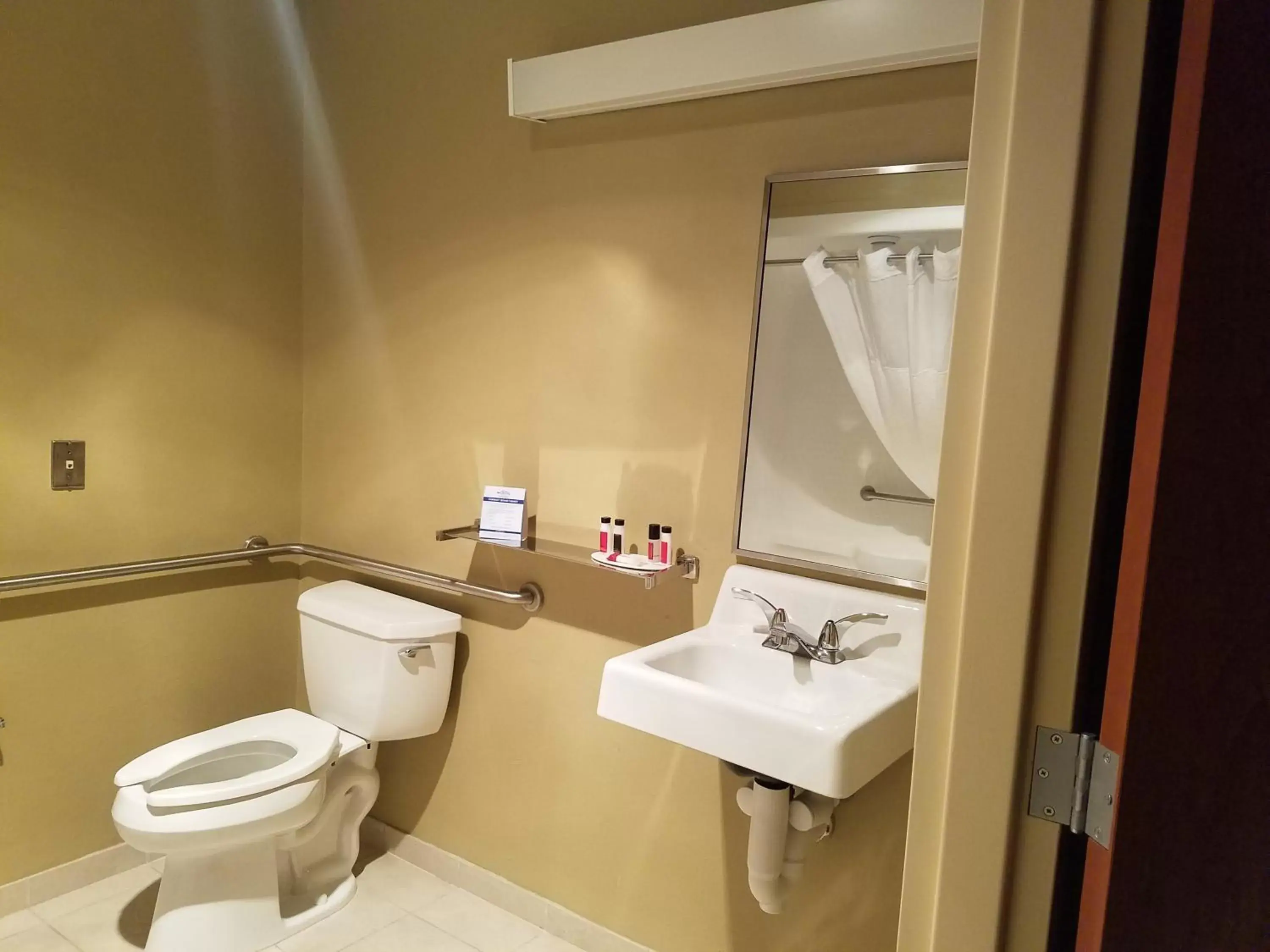 Toilet, Bathroom in Microtel Inn & Suites Dover by Wyndham