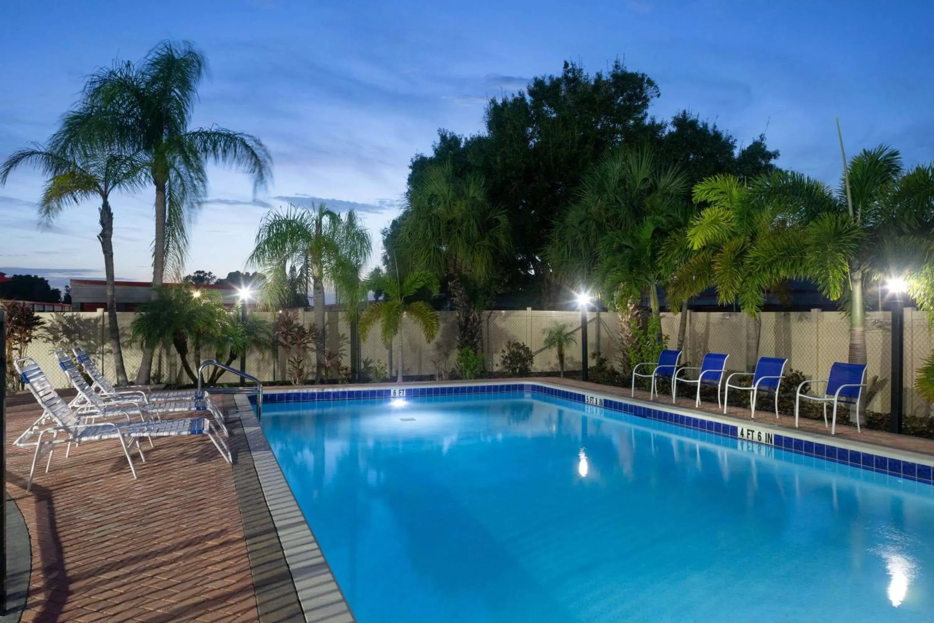 Night, Swimming Pool in Super 8 by Wyndham Bradenton Sarasota Area