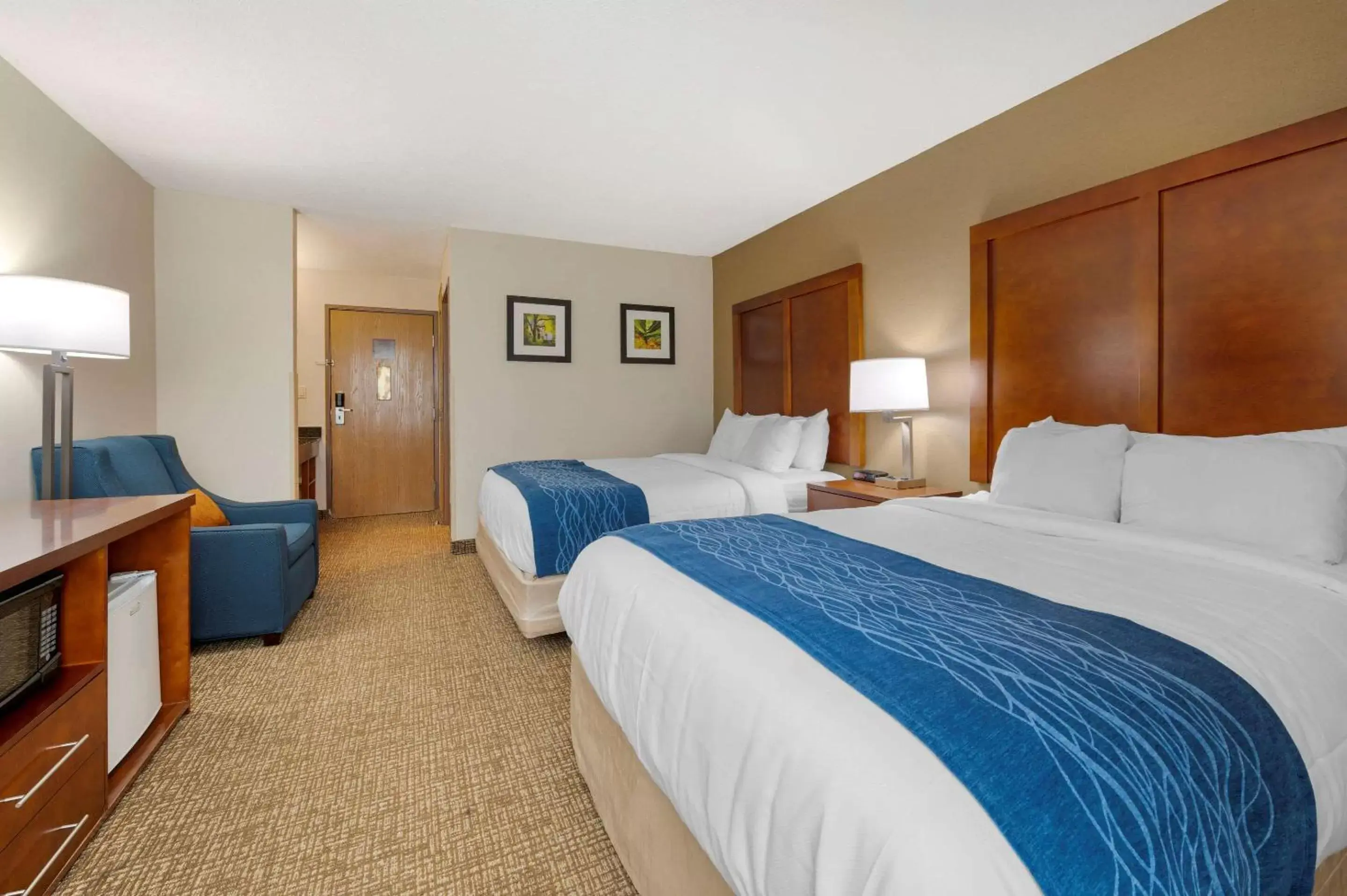 Photo of the whole room, Bed in Comfort Inn Anderson South
