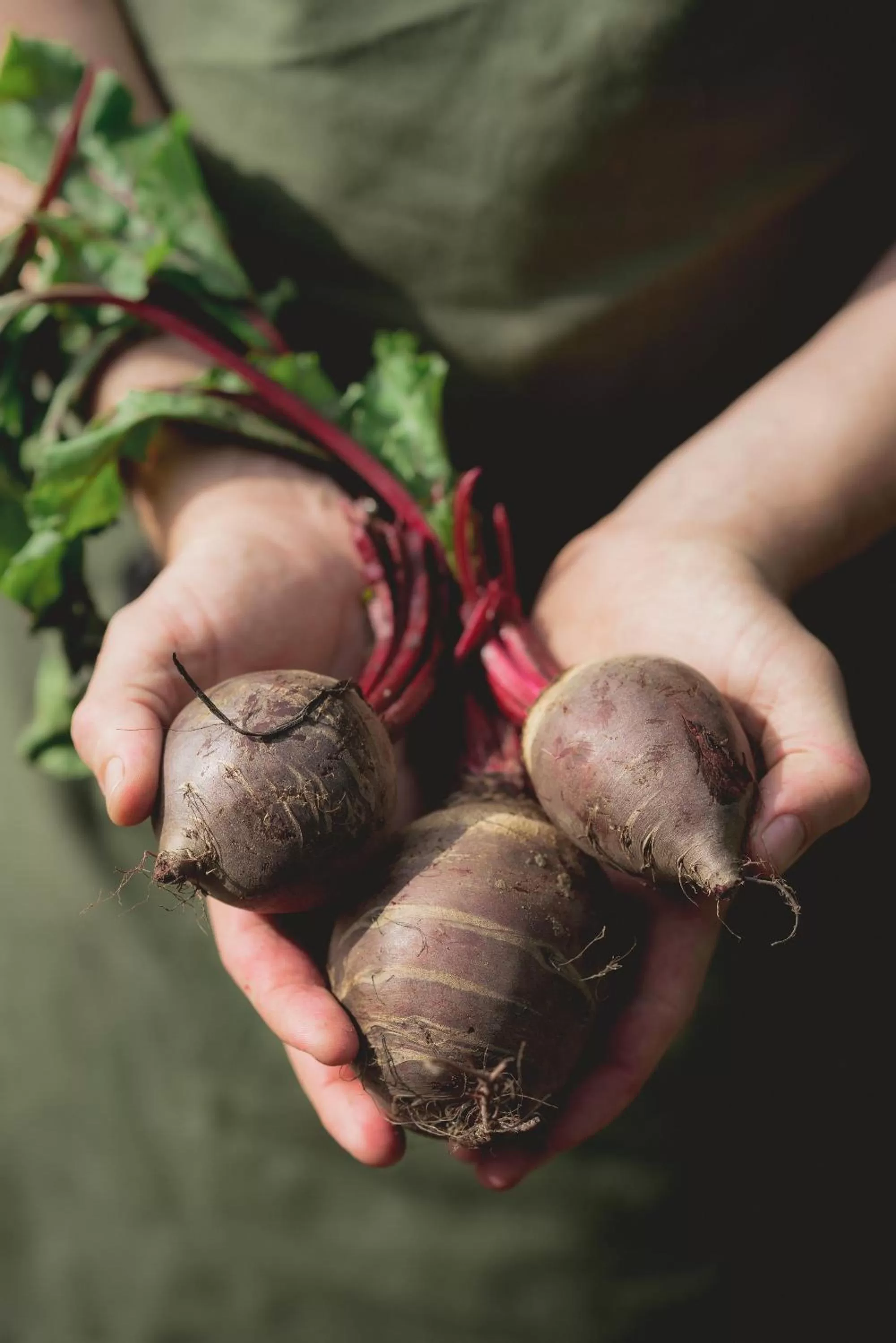 Food in The Clive Arms
