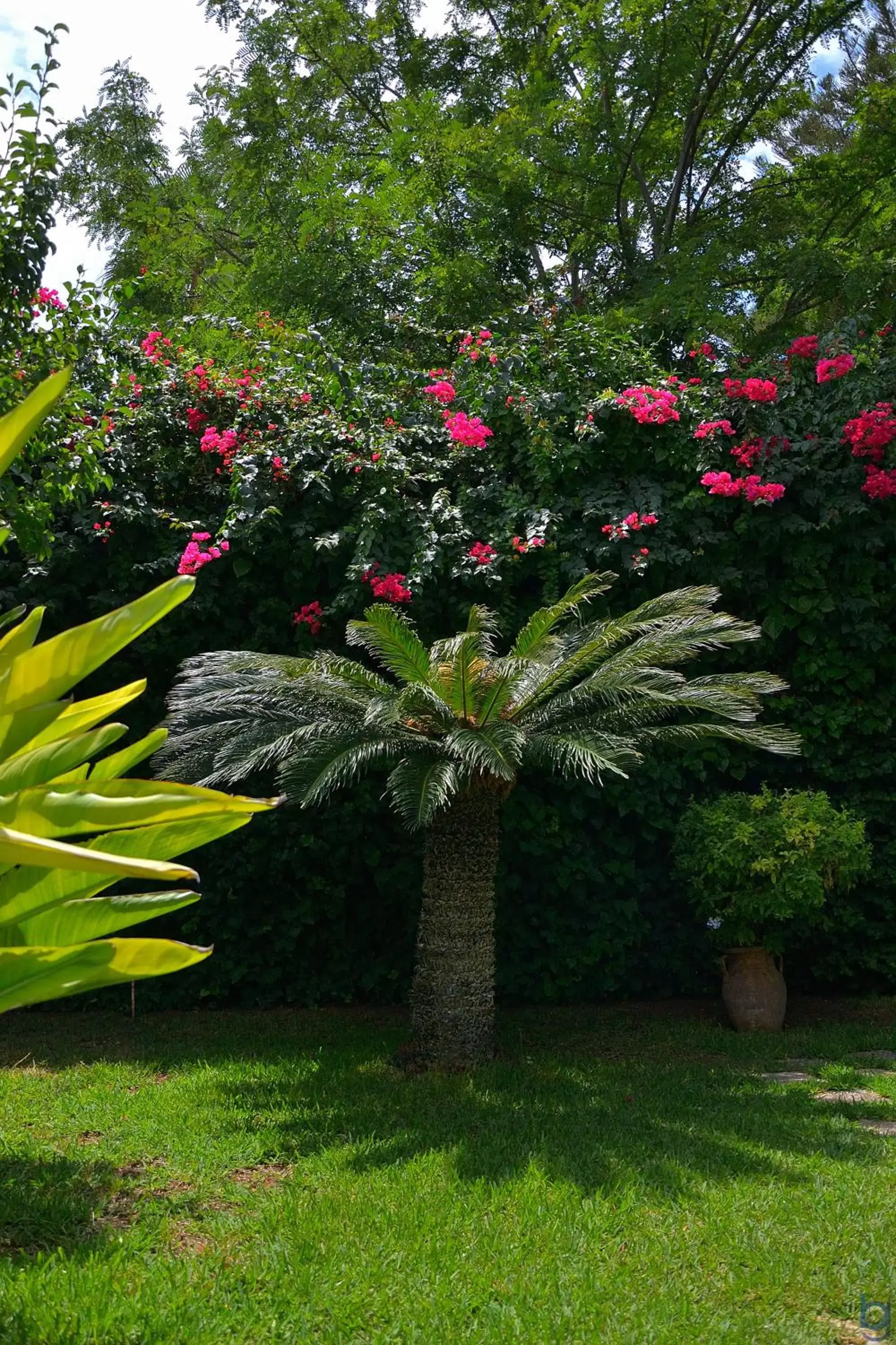 Garden in B&b Mondello Resort