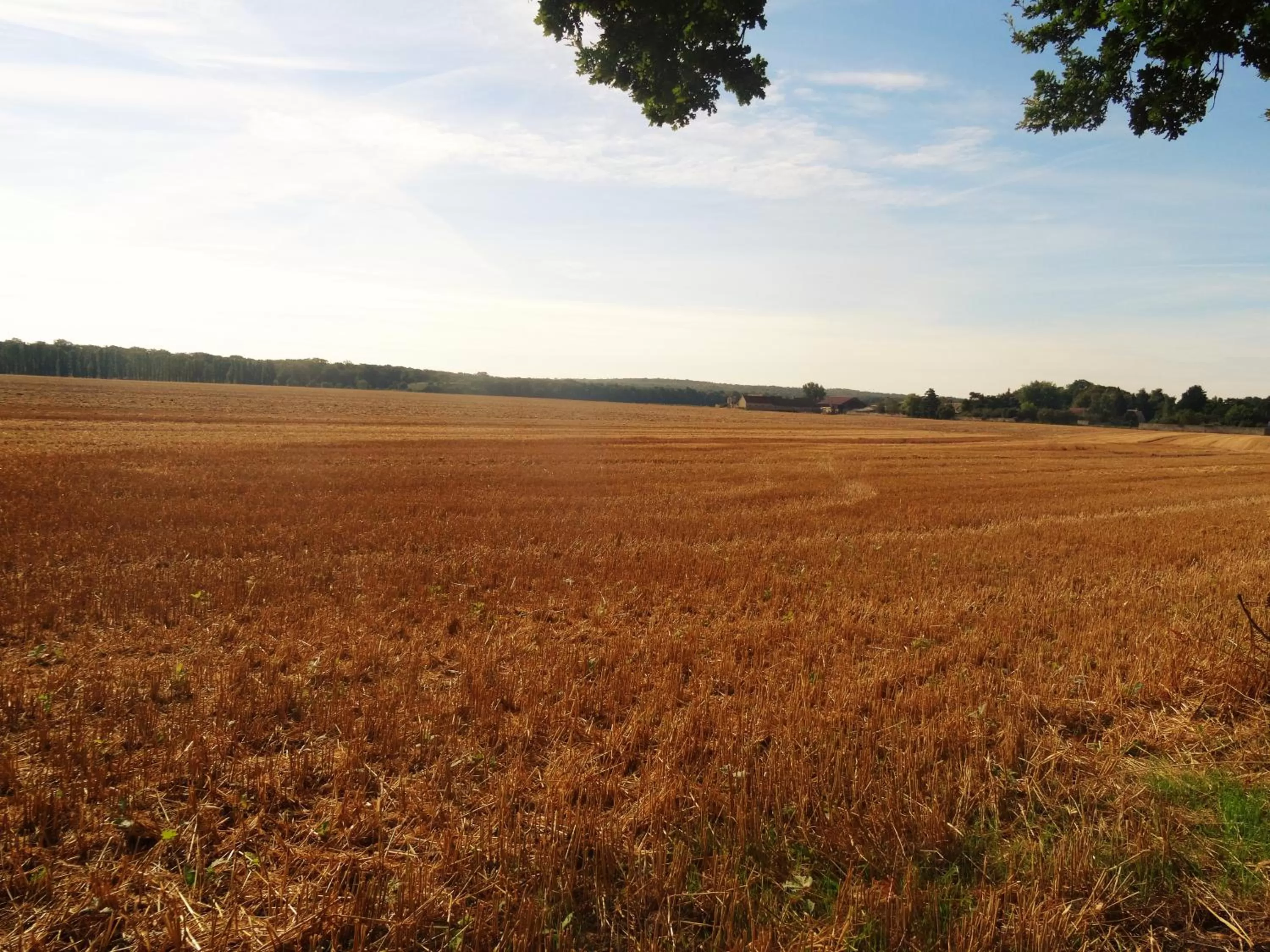 View (from property/room) in Villa La Clef Des Champs