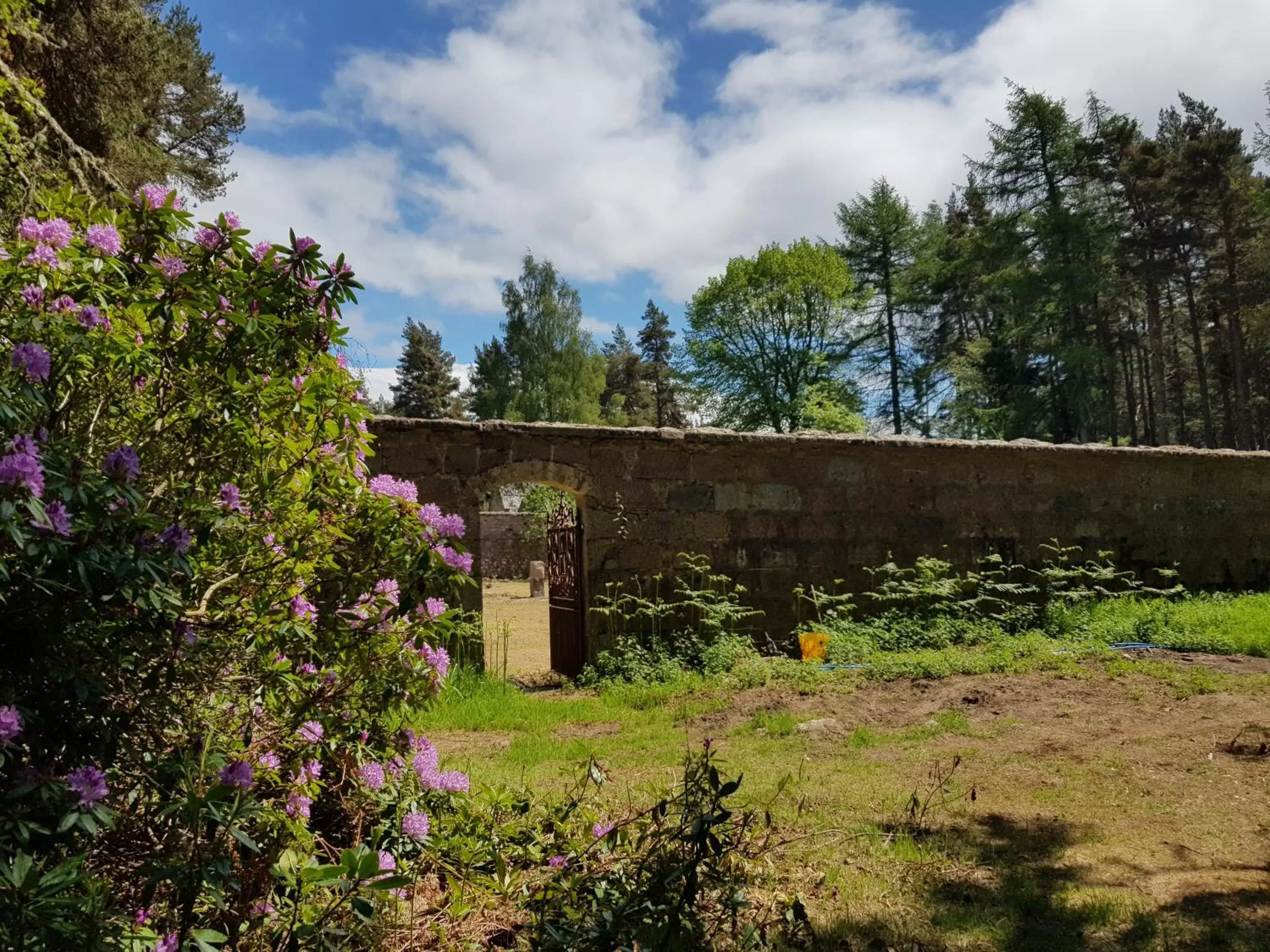 Garden in Cambus O' May Hotel