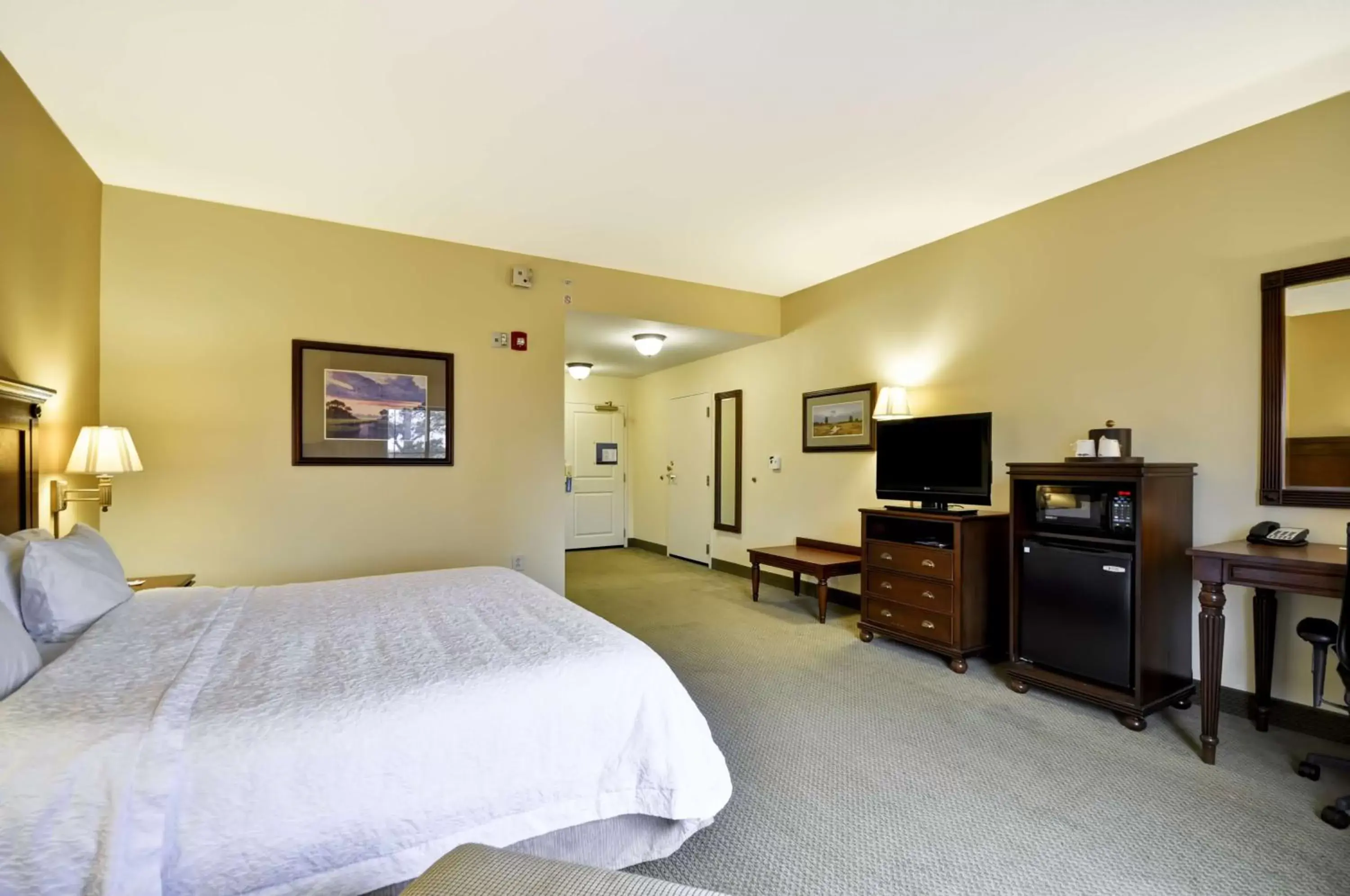 Bed, TV/Entertainment Center in Hampton Inn & Suites North Charleston-University Boulevard