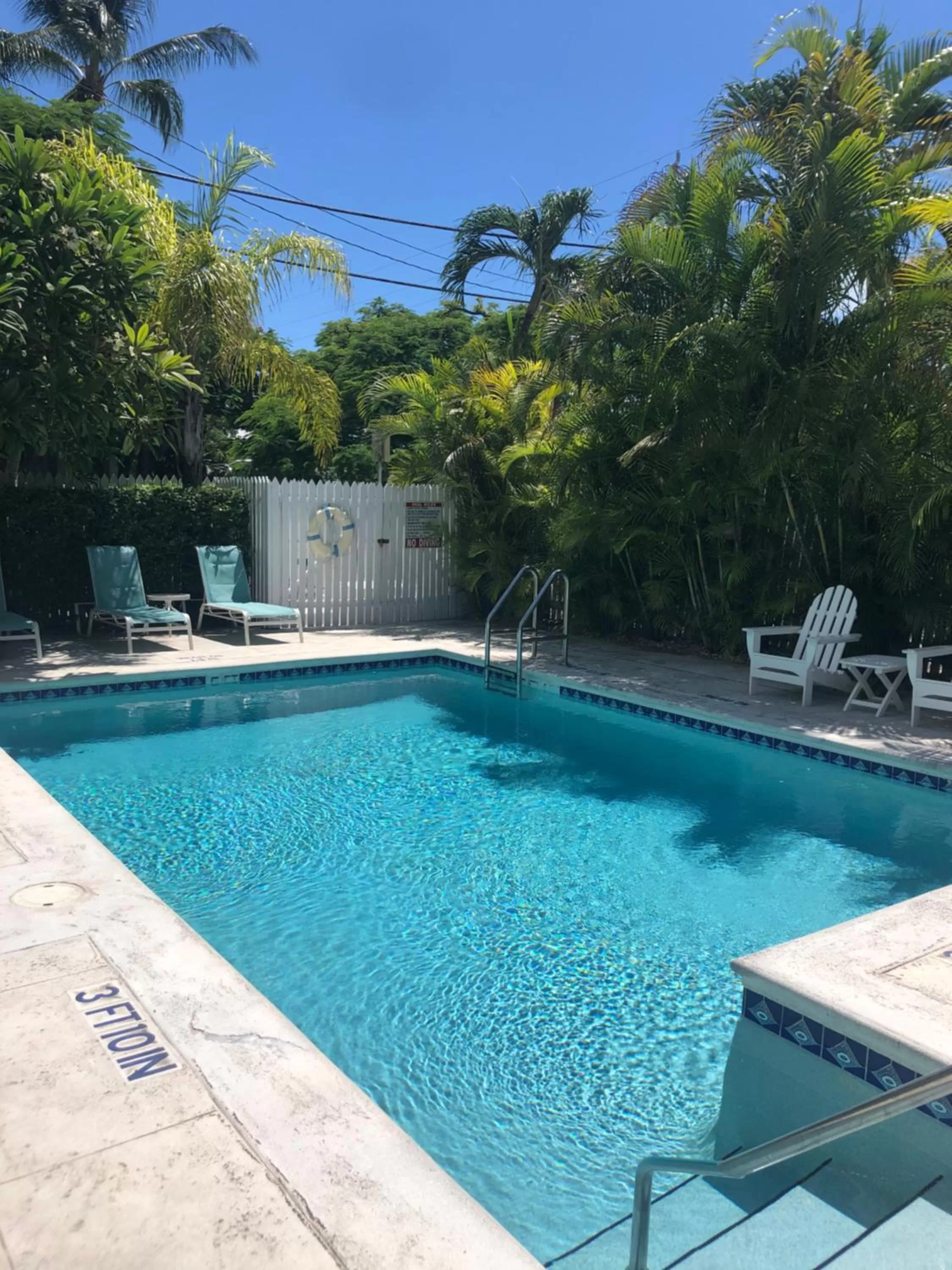 , Swimming Pool in The Conch House Heritage Inn
