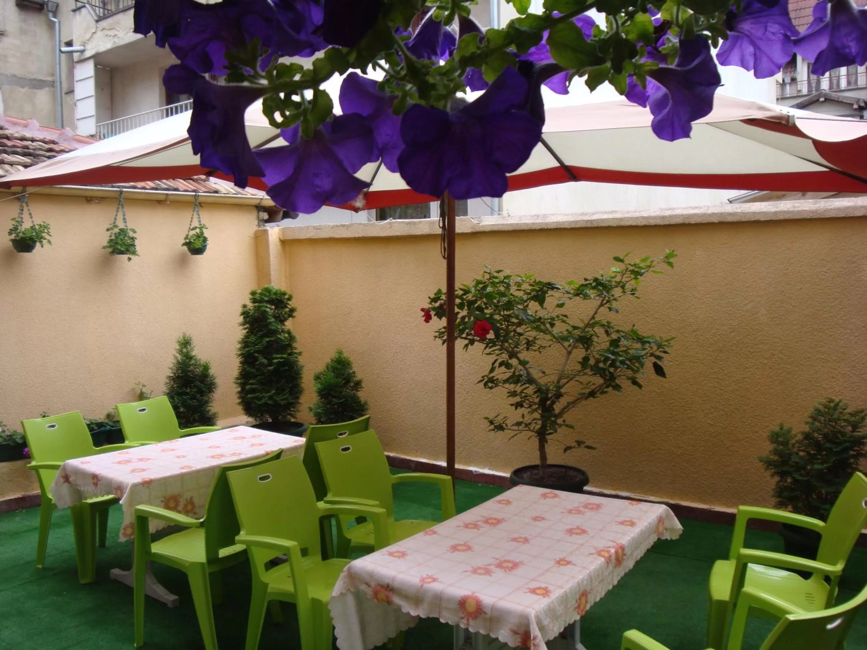Balcony/Terrace in Hotel Color