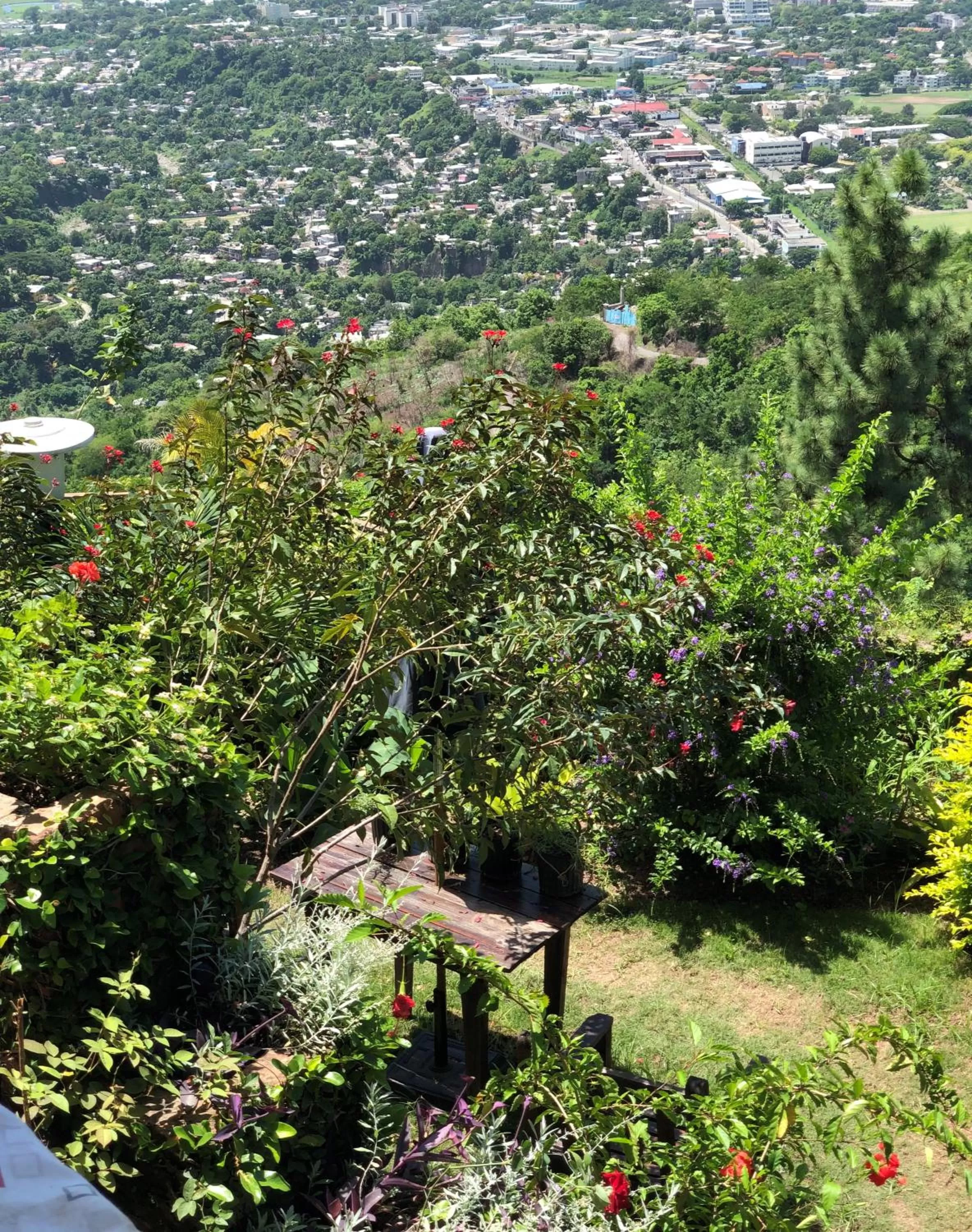 Garden in Tranquility Estate