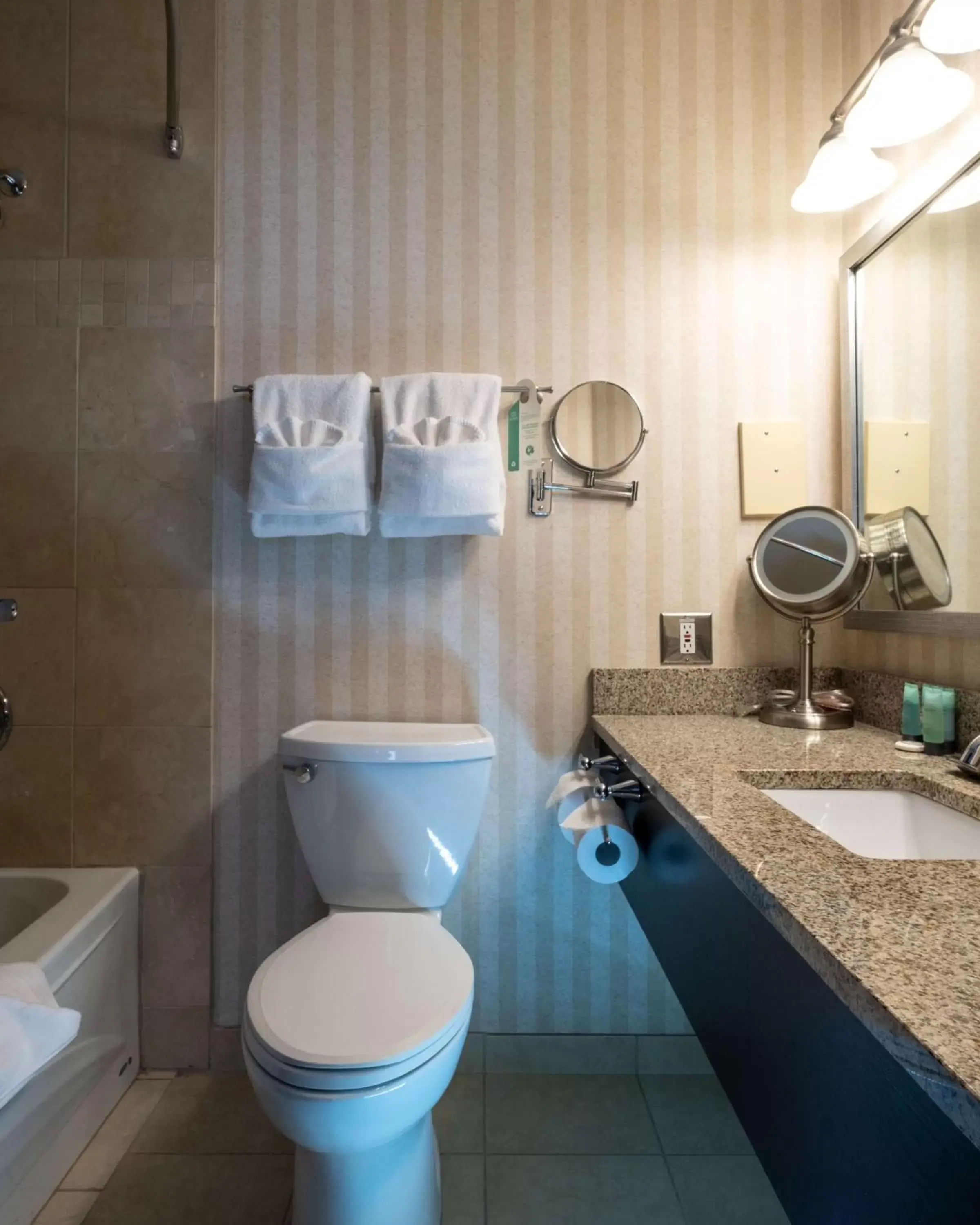 Bathroom in Prestige Mountain Resort Rossland