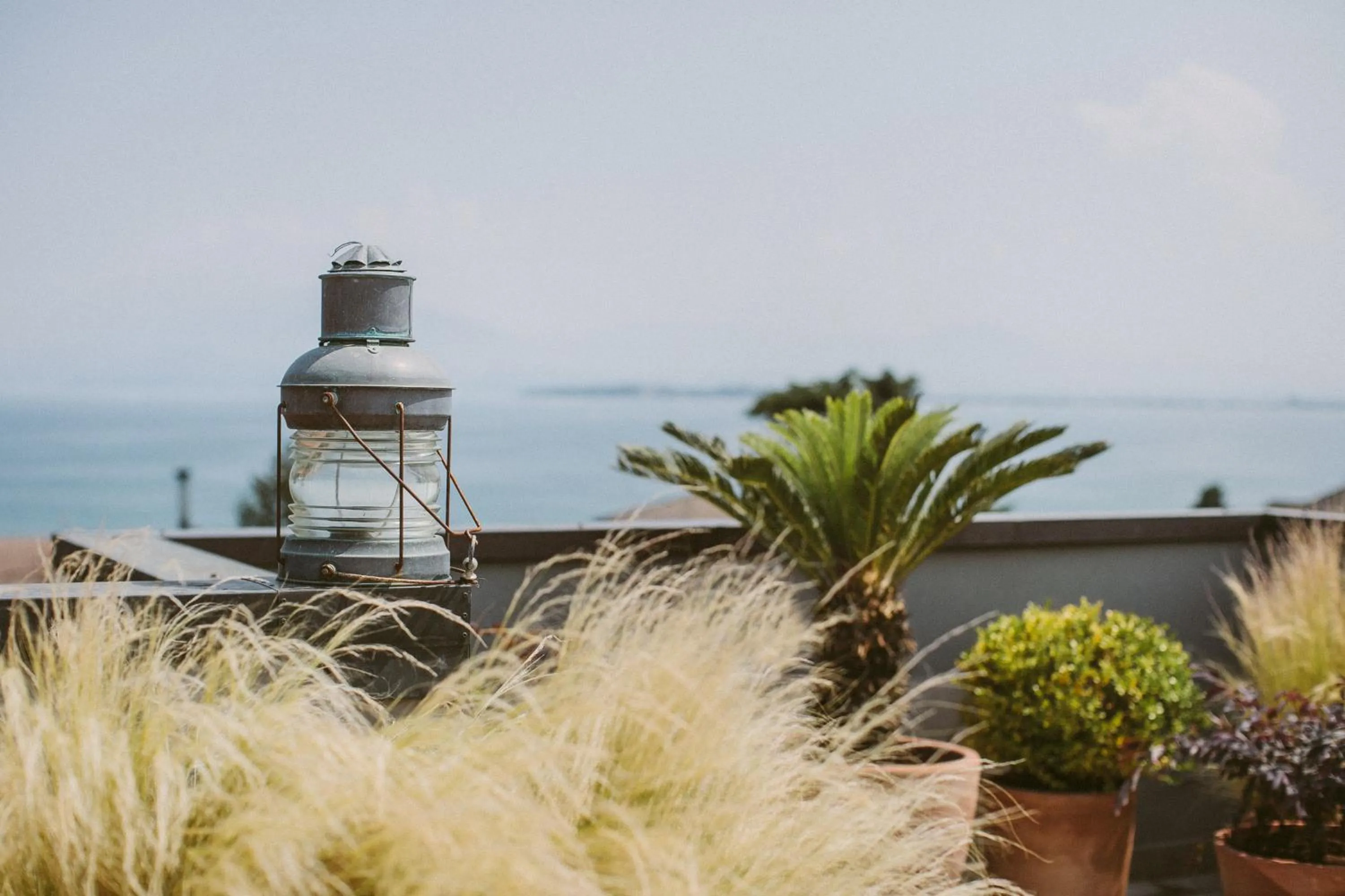 Balcony/Terrace in Hotel Piccola Vela