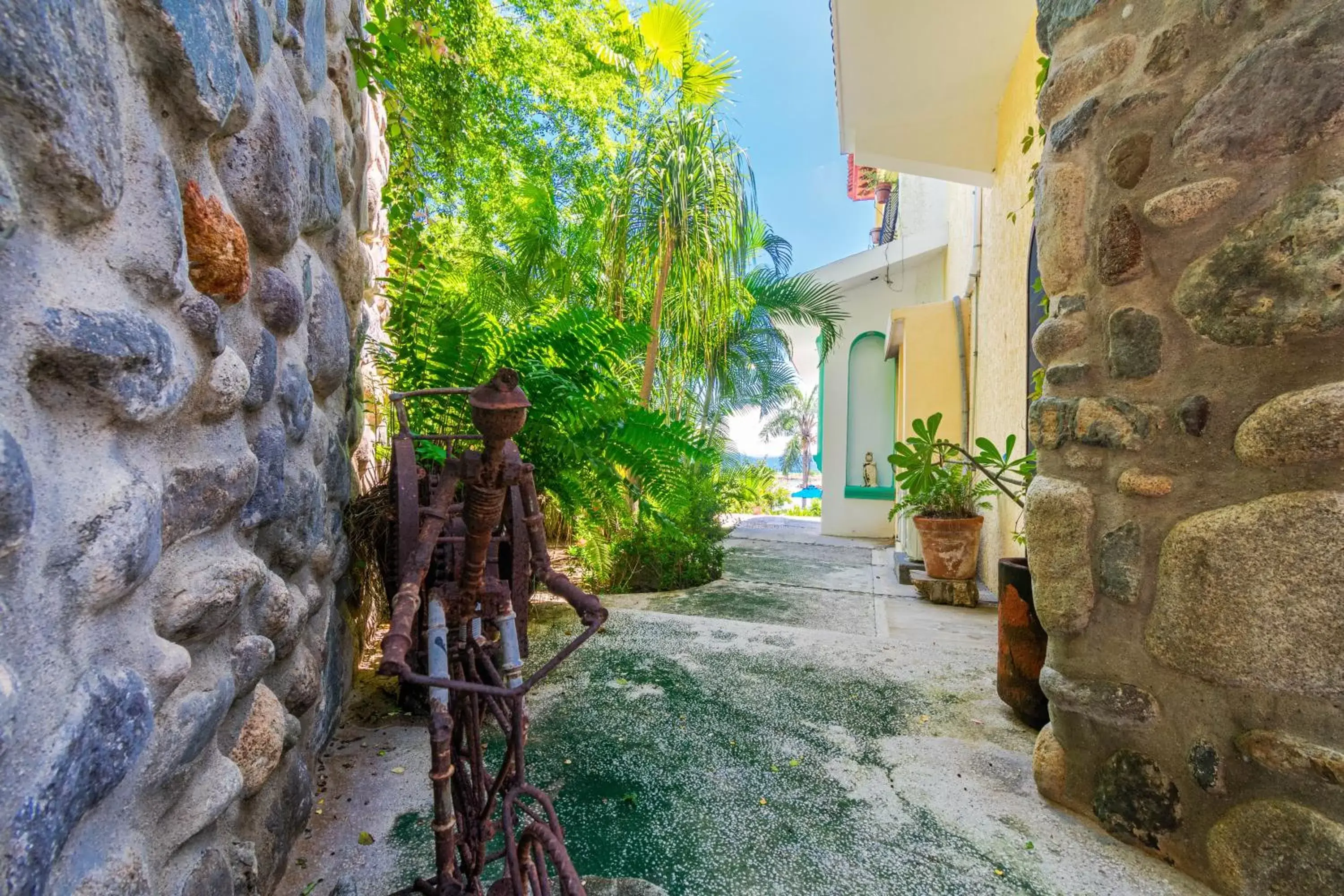 Garden in Villas Jardin Del Mar