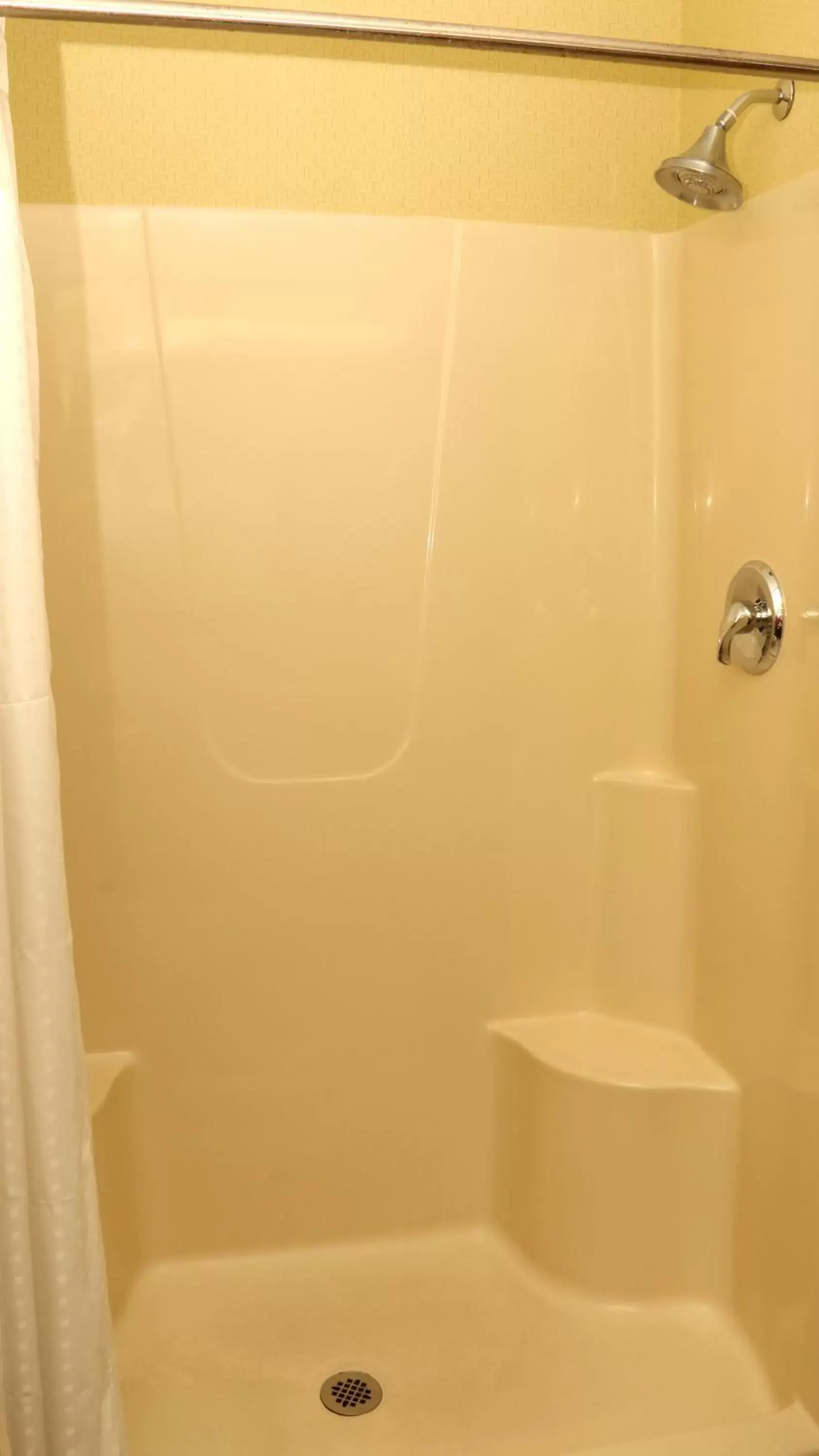 Shower, Bathroom in Holiday Inn Express Hotel & Suites Saginaw, an IHG Hotel