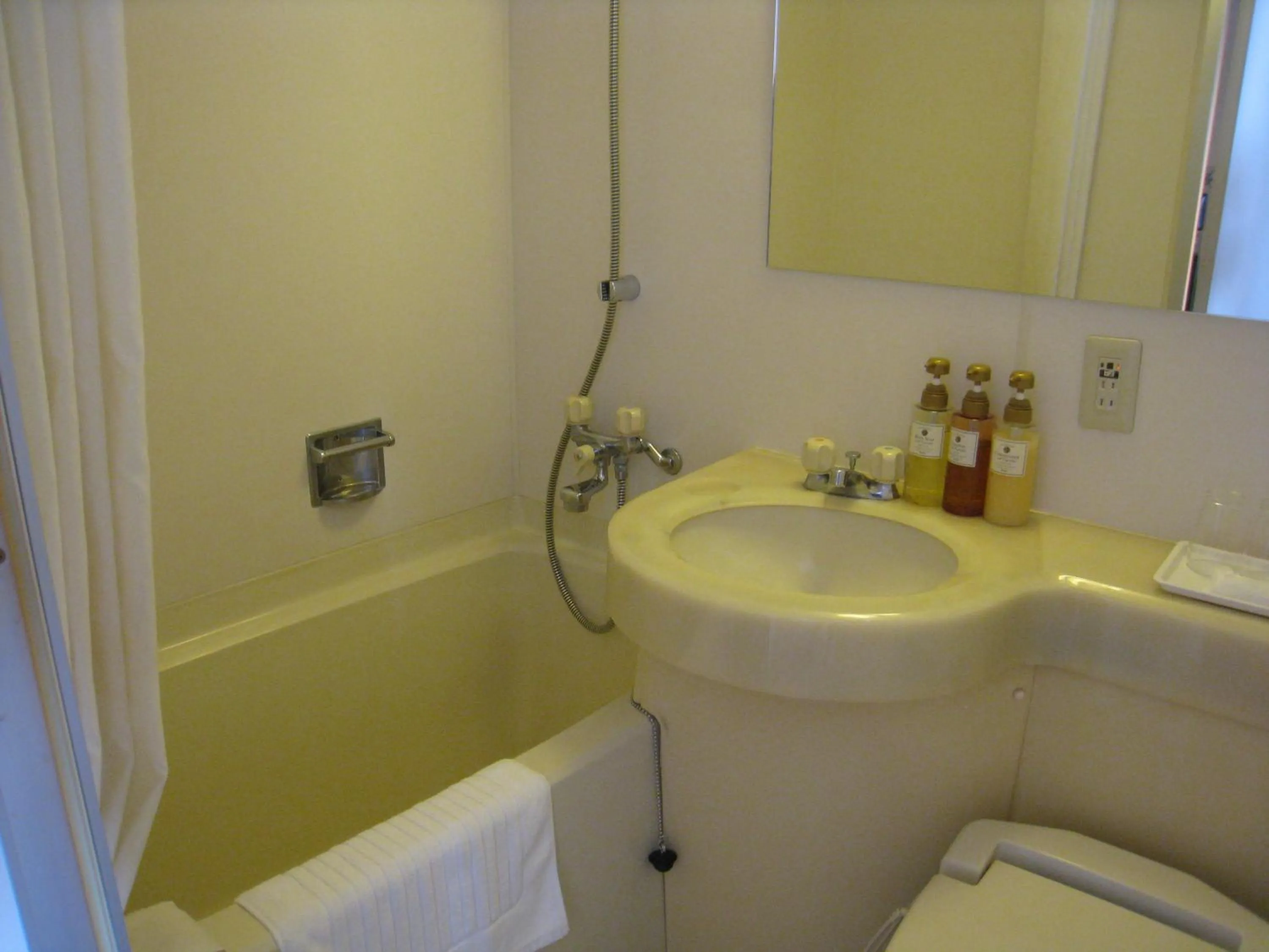 Bathroom in Rembrandt Style Tokyo Nishikasai