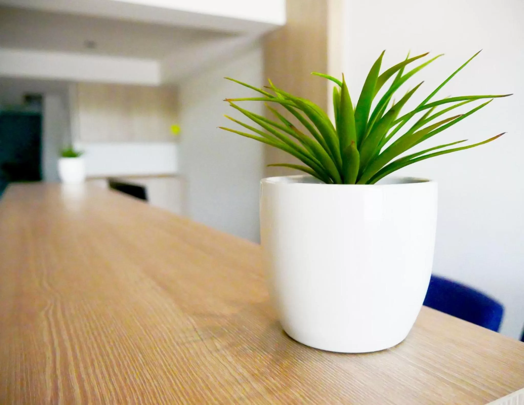 D5 Gold สาขา หนองกะขะ