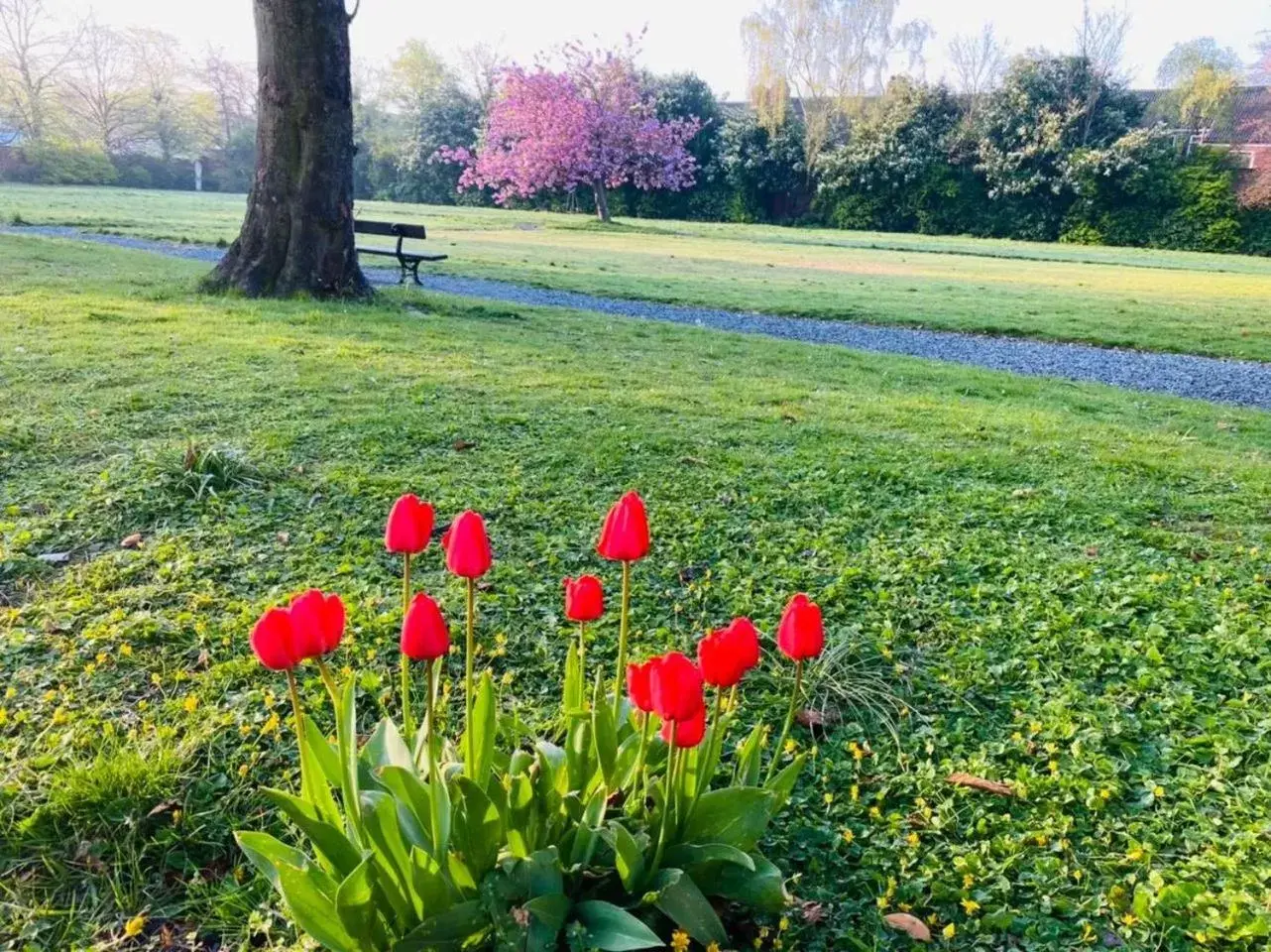 Garden in Endsleigh Park