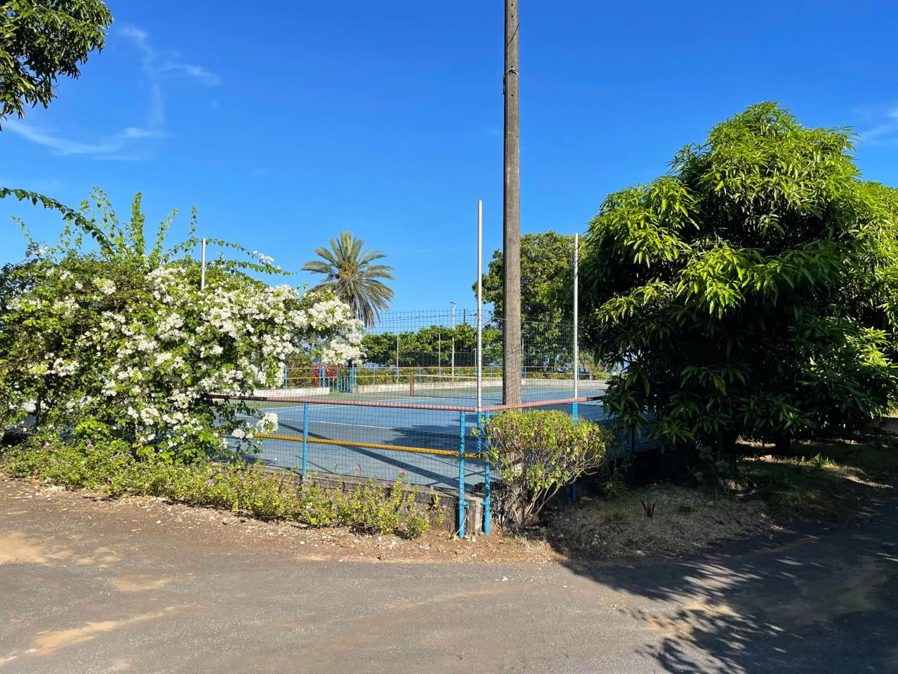 Tennis court, Swimming Pool in Hôtel La Grillade